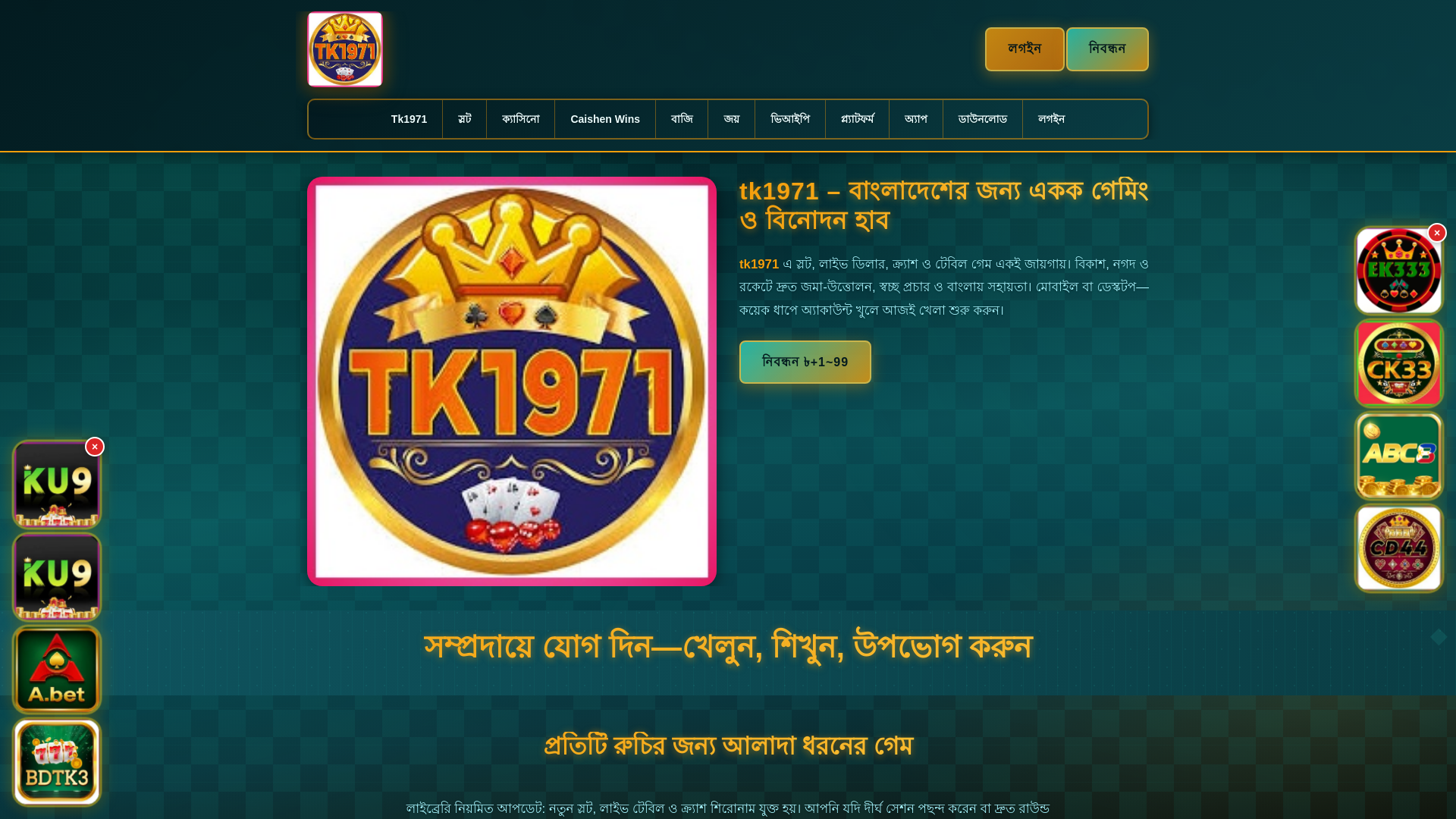 website screenshot of https://tk1971dui.com/