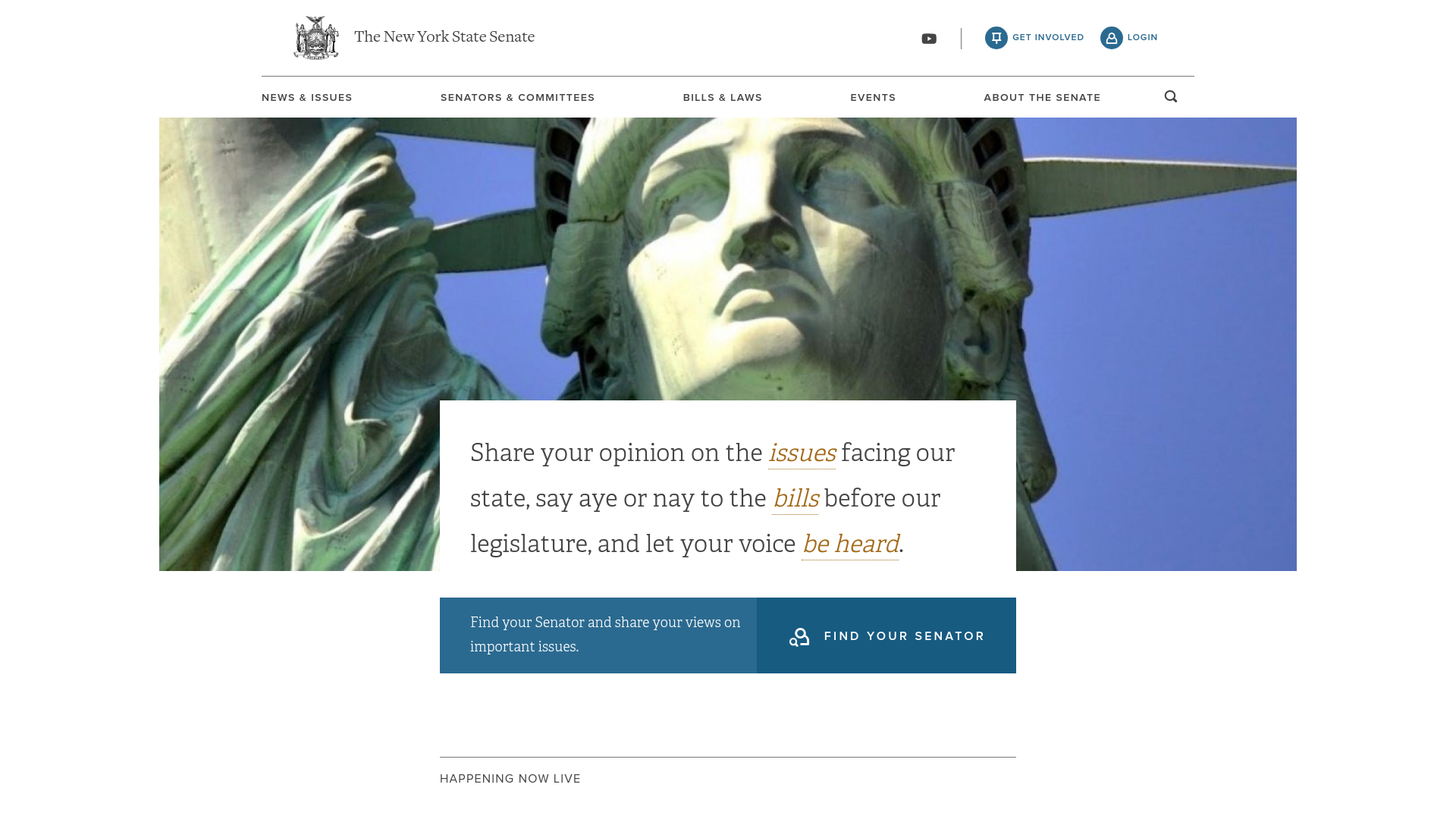 website screenshot of https://nysenate.gov/