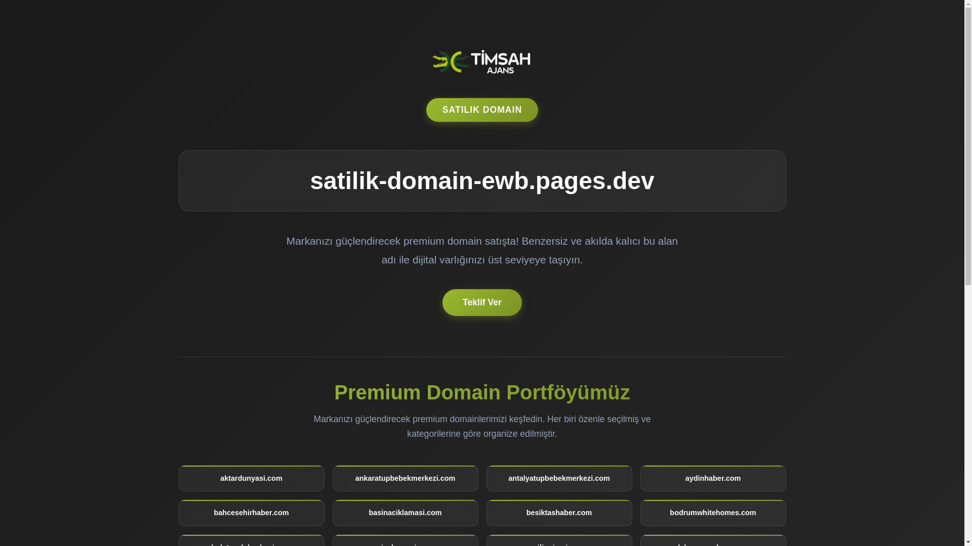 website screenshot of https://satilik-domain-ewb.pages.dev/