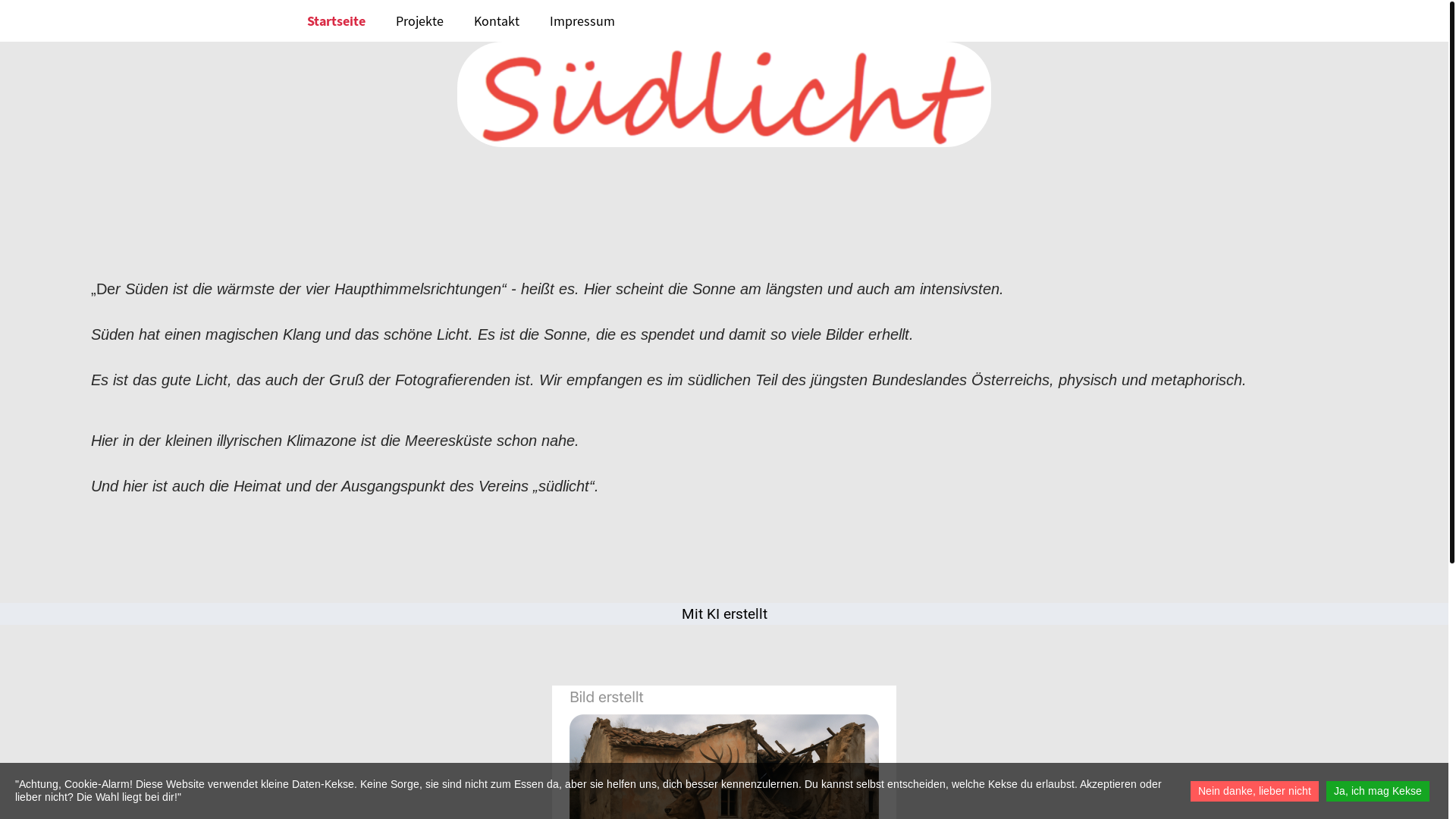 website screenshot of https://xn--sdlicht-n2a.at/