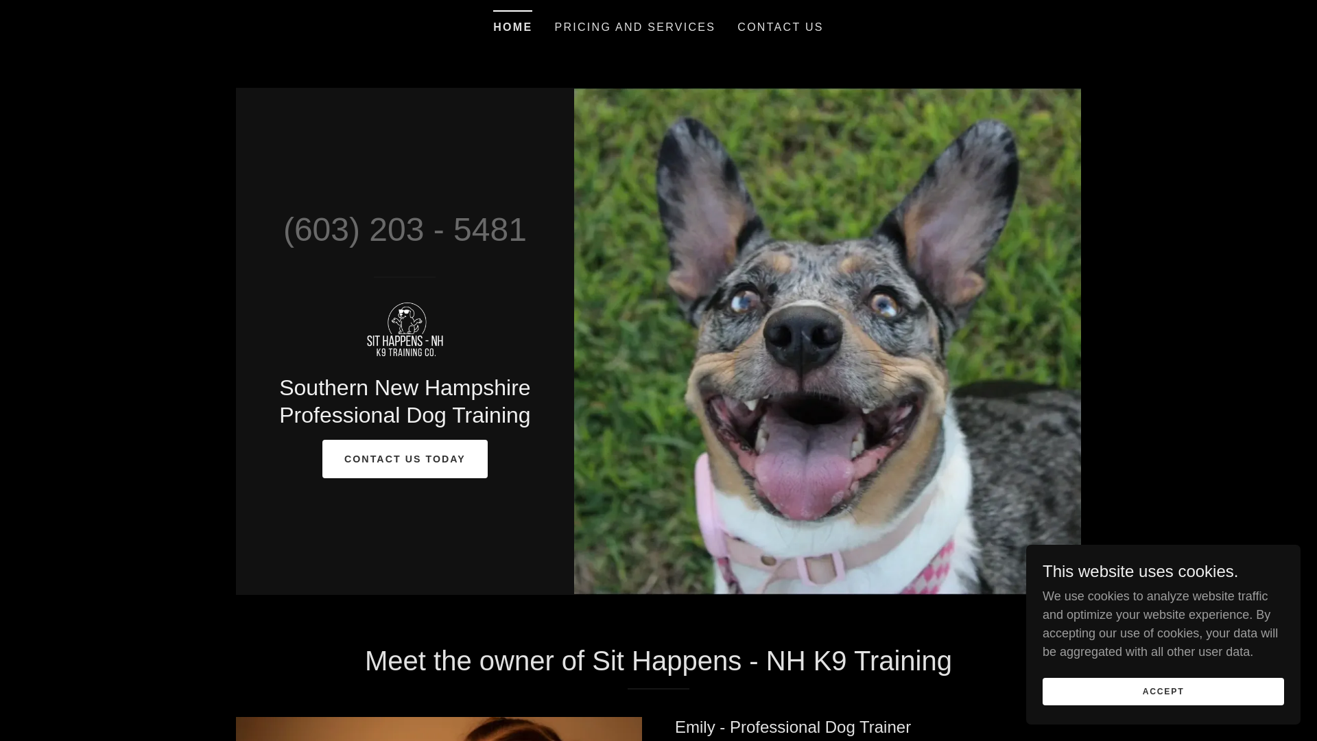 website screenshot of https://sithappensnhk9.com/
