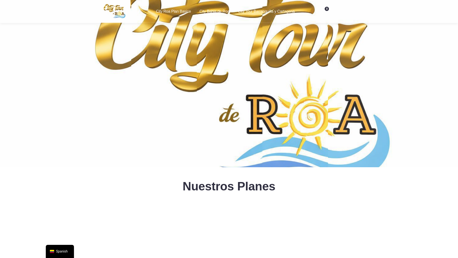 website screenshot of https://citytourderoa.com