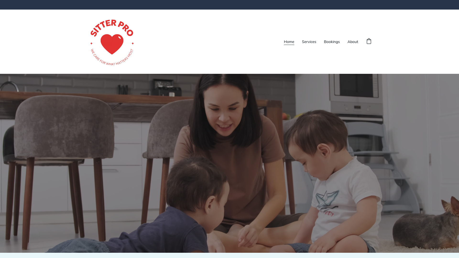 website screenshot of https://sitterpro.ca/
