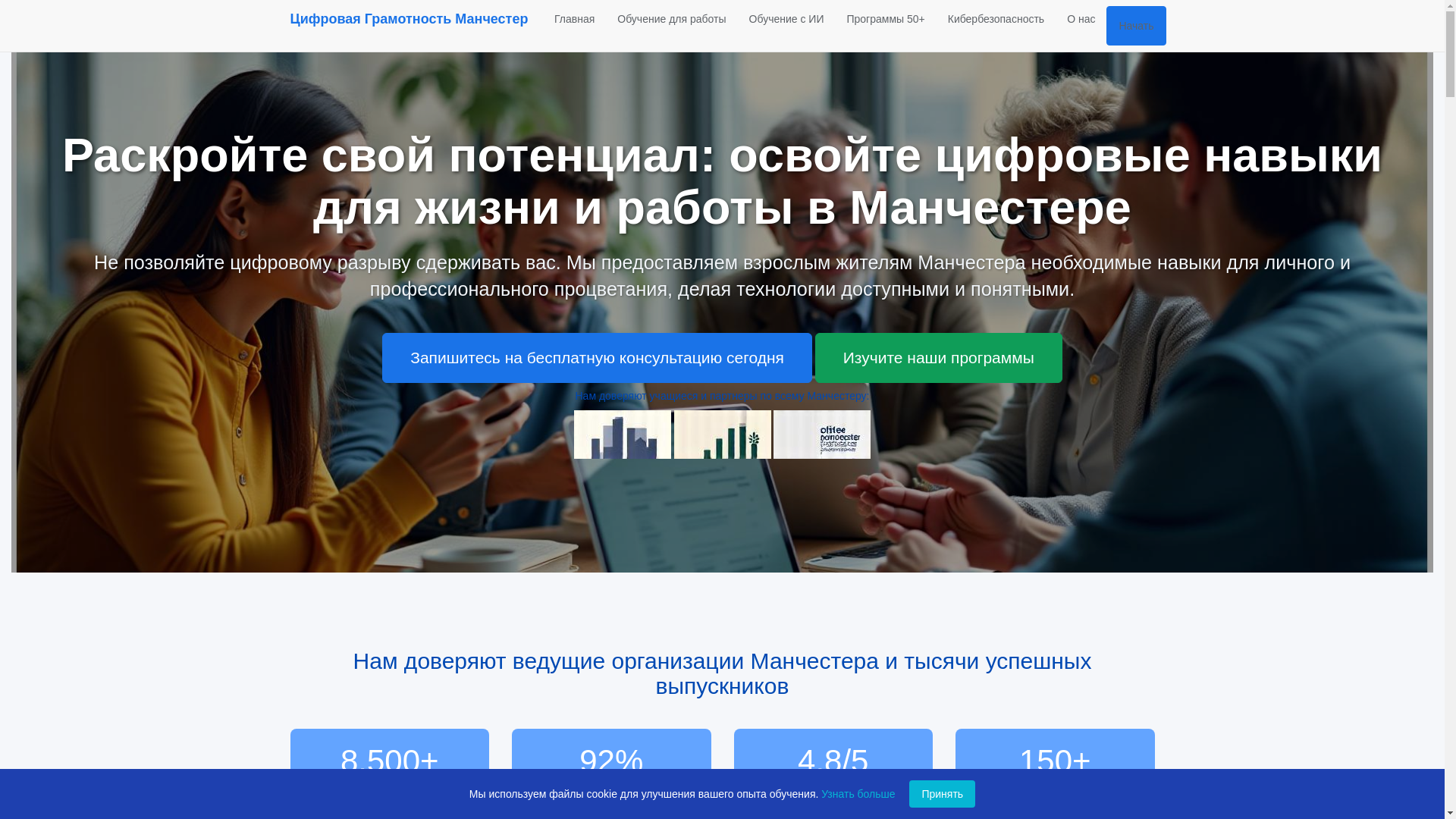 website screenshot of https://digitalliteracyman.com/