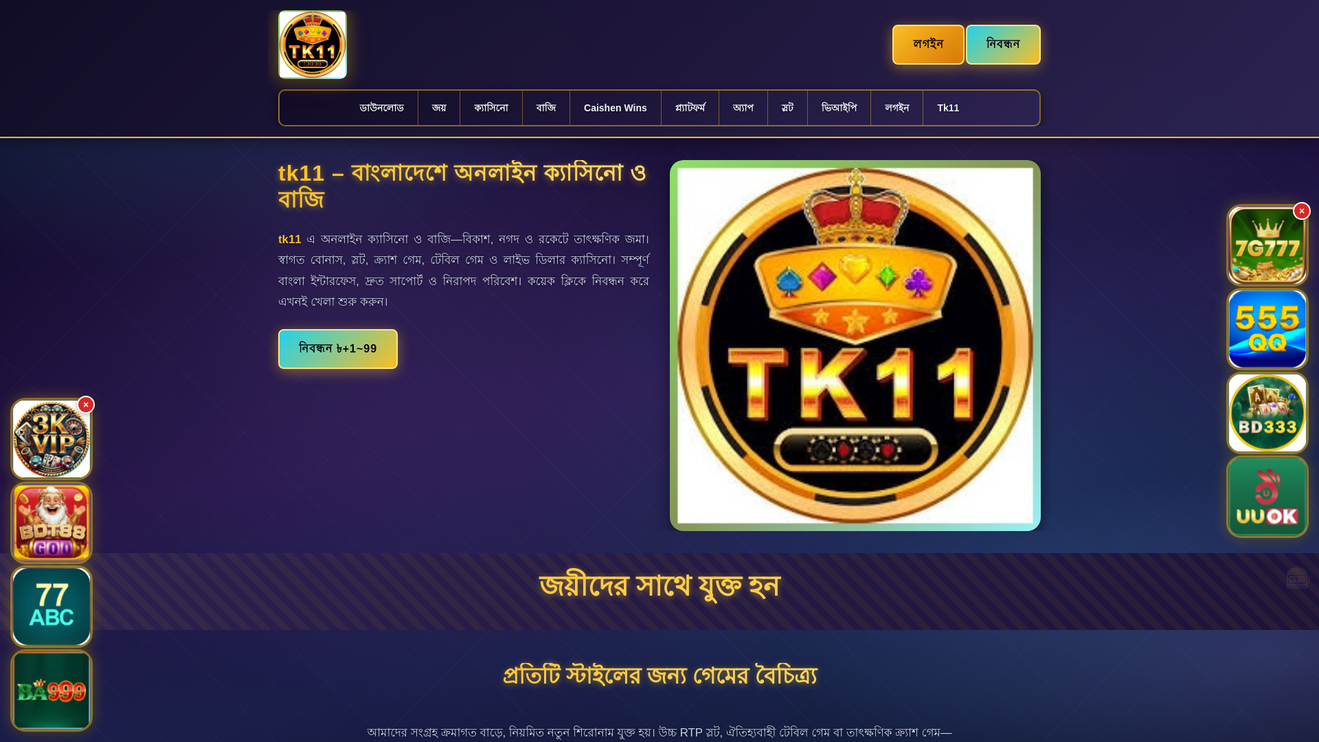 website screenshot of https://tk11panch.com/