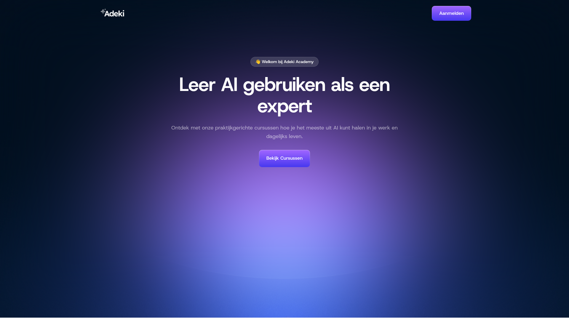 website screenshot of https://adeki.nl/