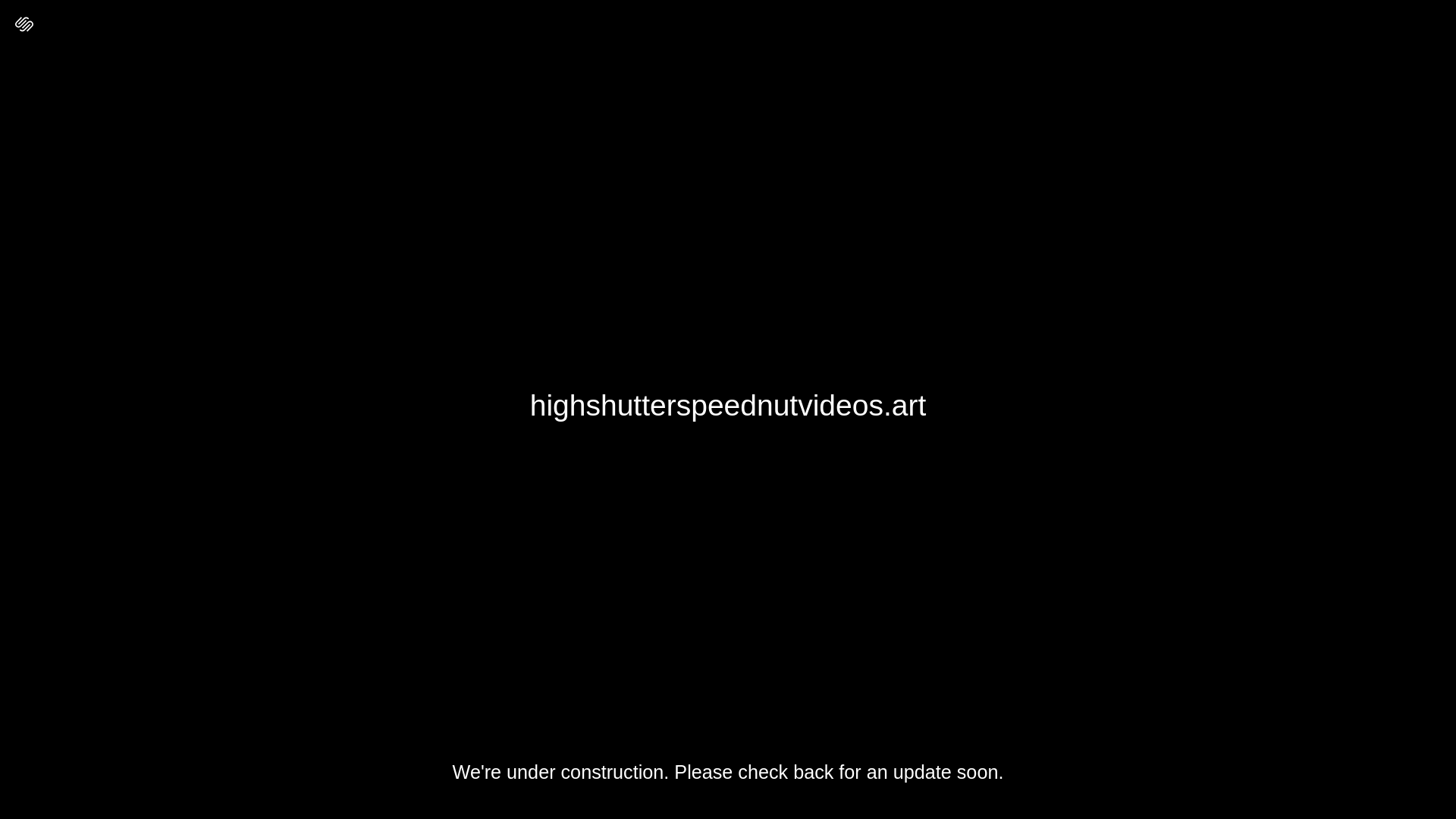 website screenshot of https://highshutterspeednutvideos.art/