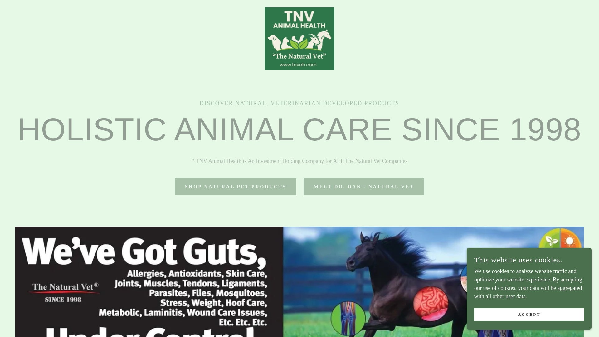 website screenshot of https://vetassuredtnv.com/