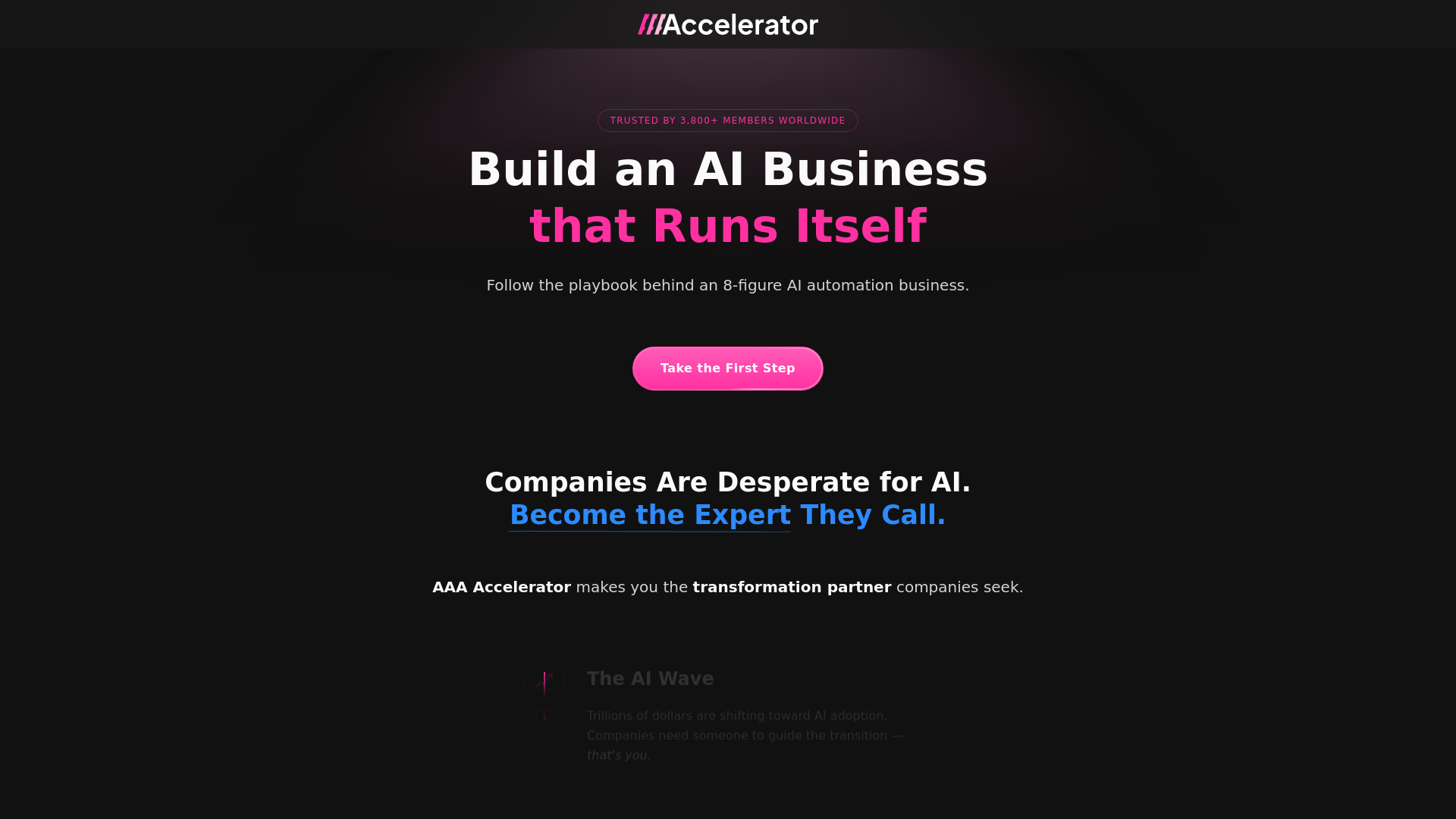 website screenshot of https://www.aaaaccelerator.com