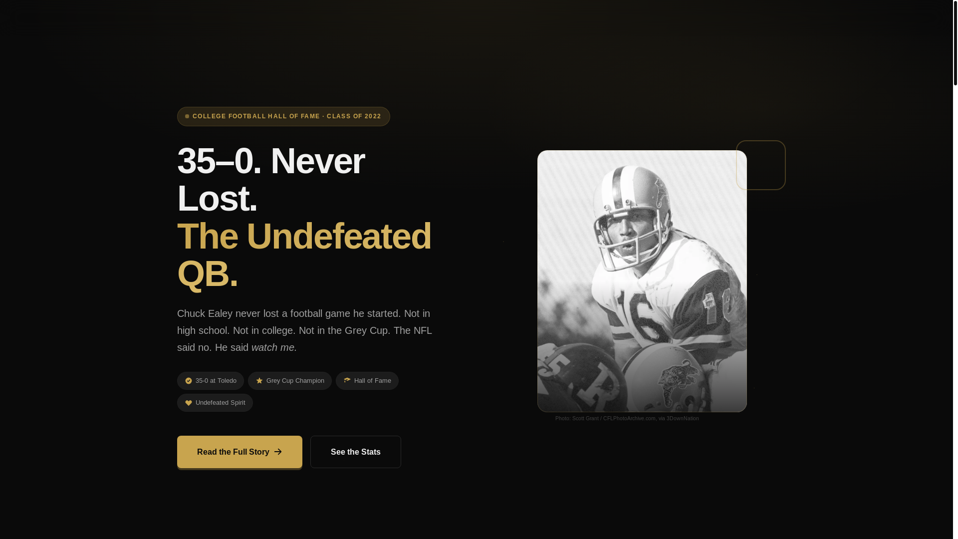 website screenshot of https://chuckealy.com/