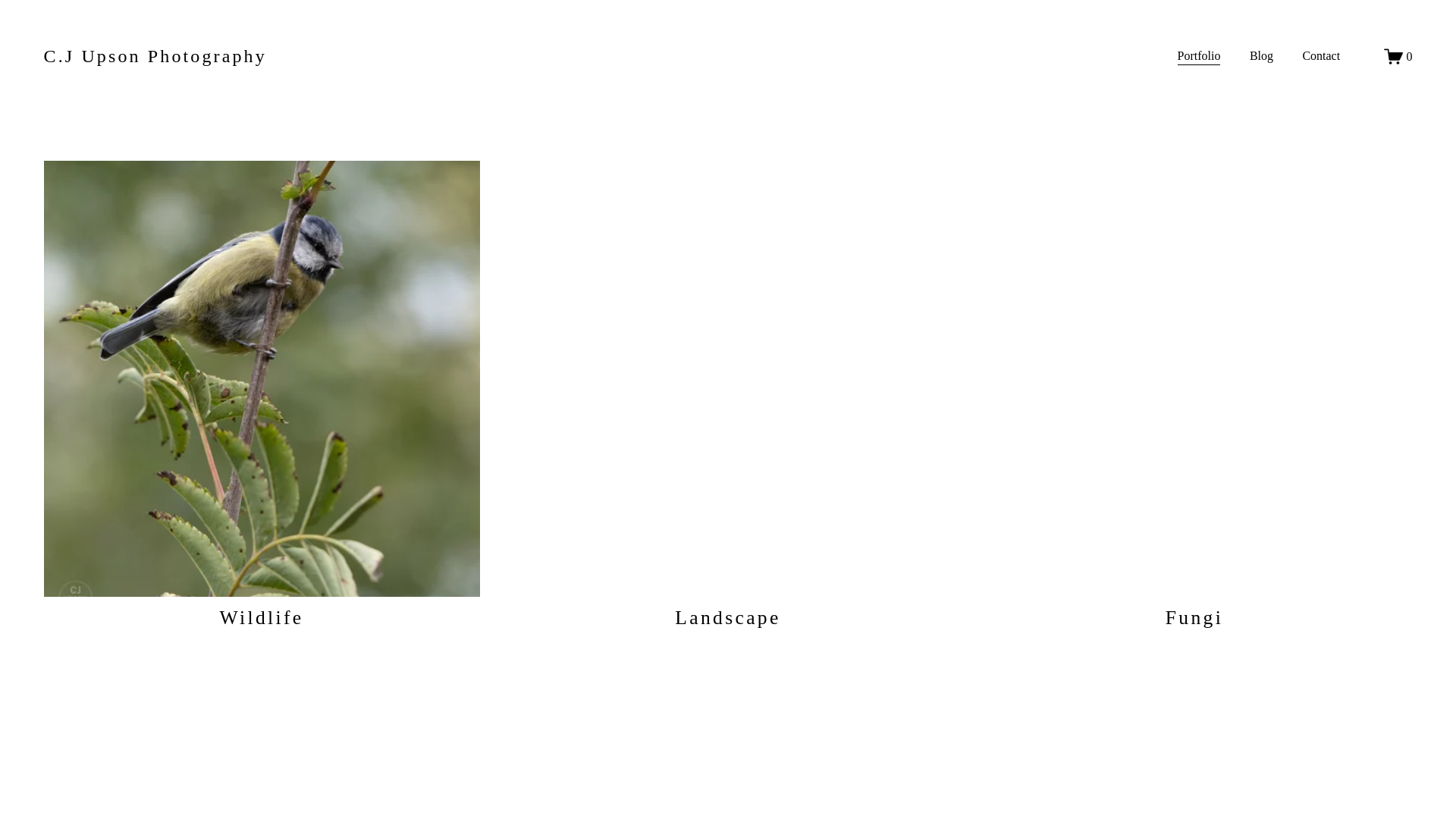 website screenshot of https://cjupsonphotography.co.uk/