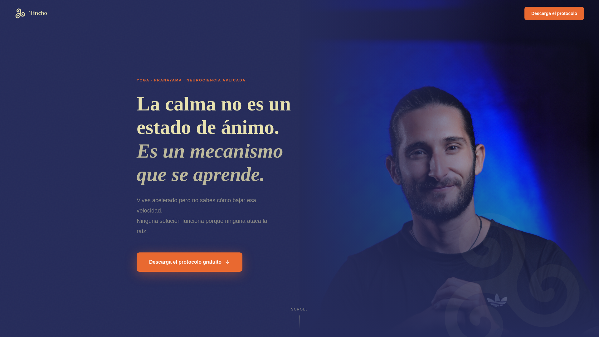 website screenshot of https://tincholibre.com/