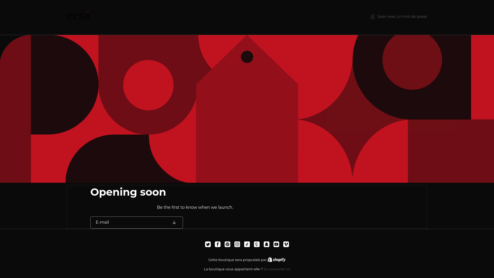 website screenshot of https://kimono-eesa.com