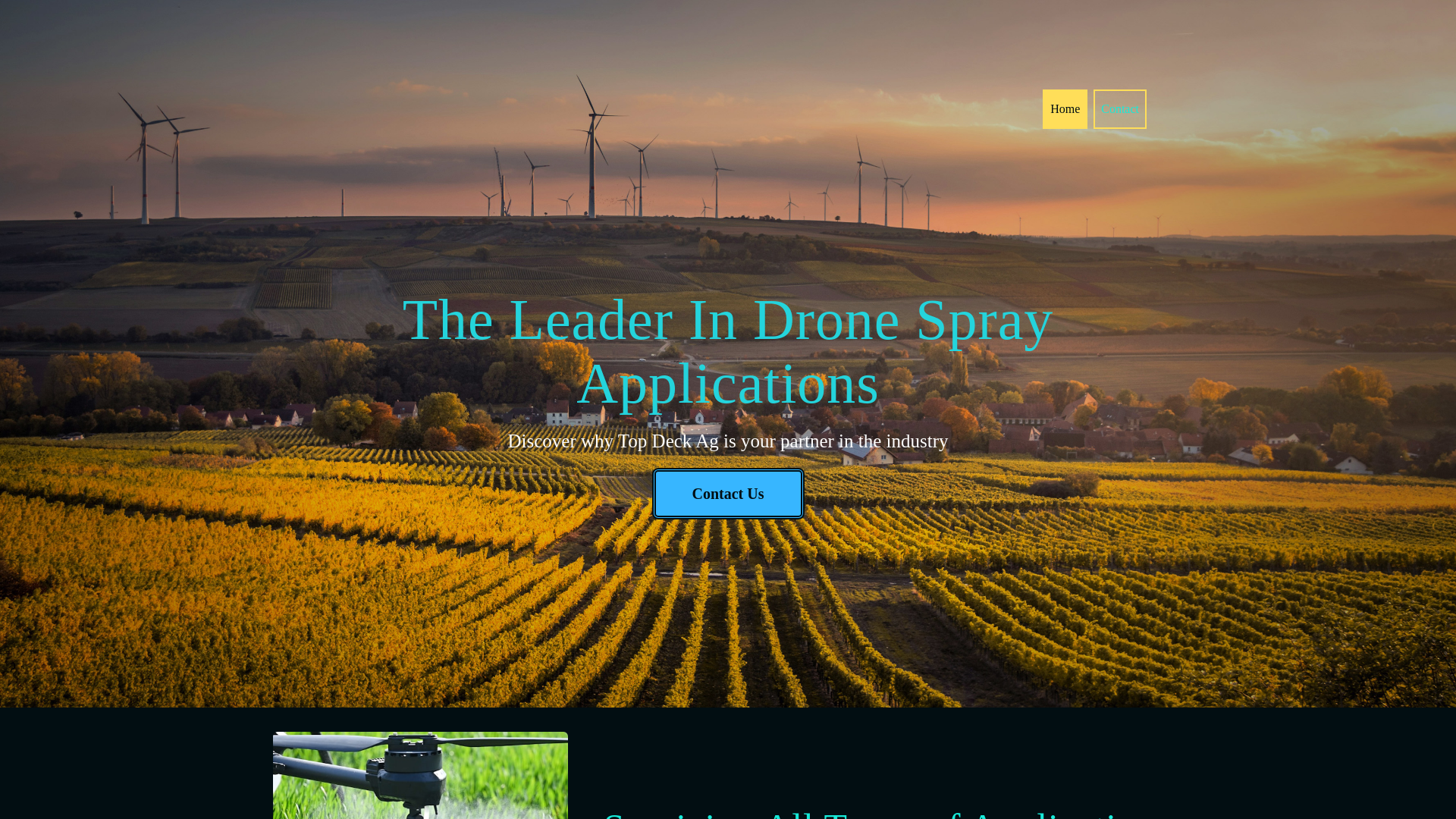 website screenshot of https://topdeckag.com/