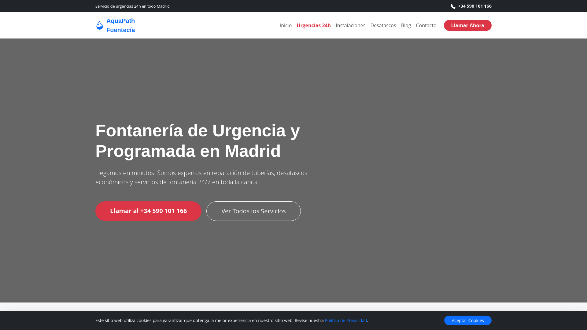 website screenshot of https://canonizeflow.click