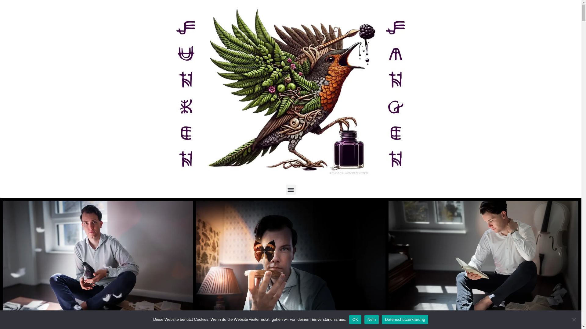 website screenshot of https://mikaschoeberl.de/