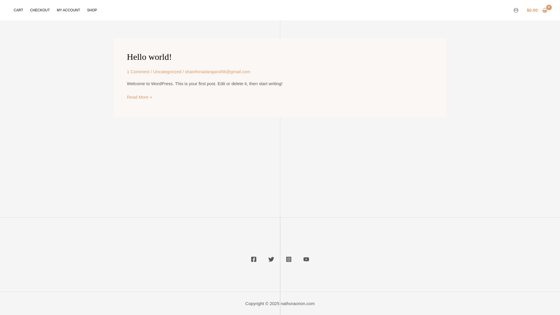 website screenshot of https://nathoraorion.com/