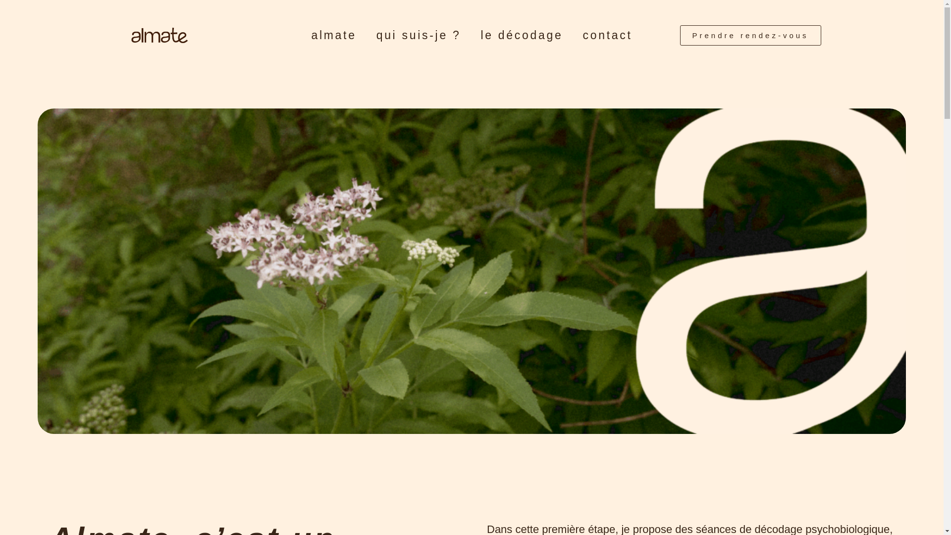 website screenshot of https://almate.ch/