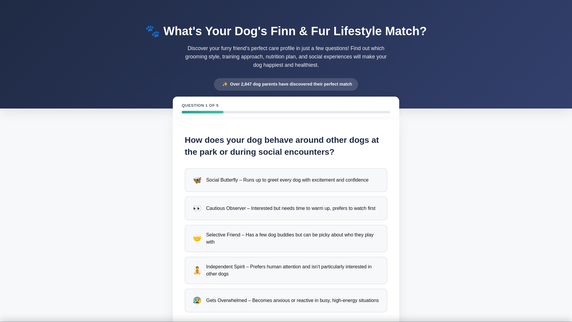 website screenshot of https://alliancecloudfuture.digital