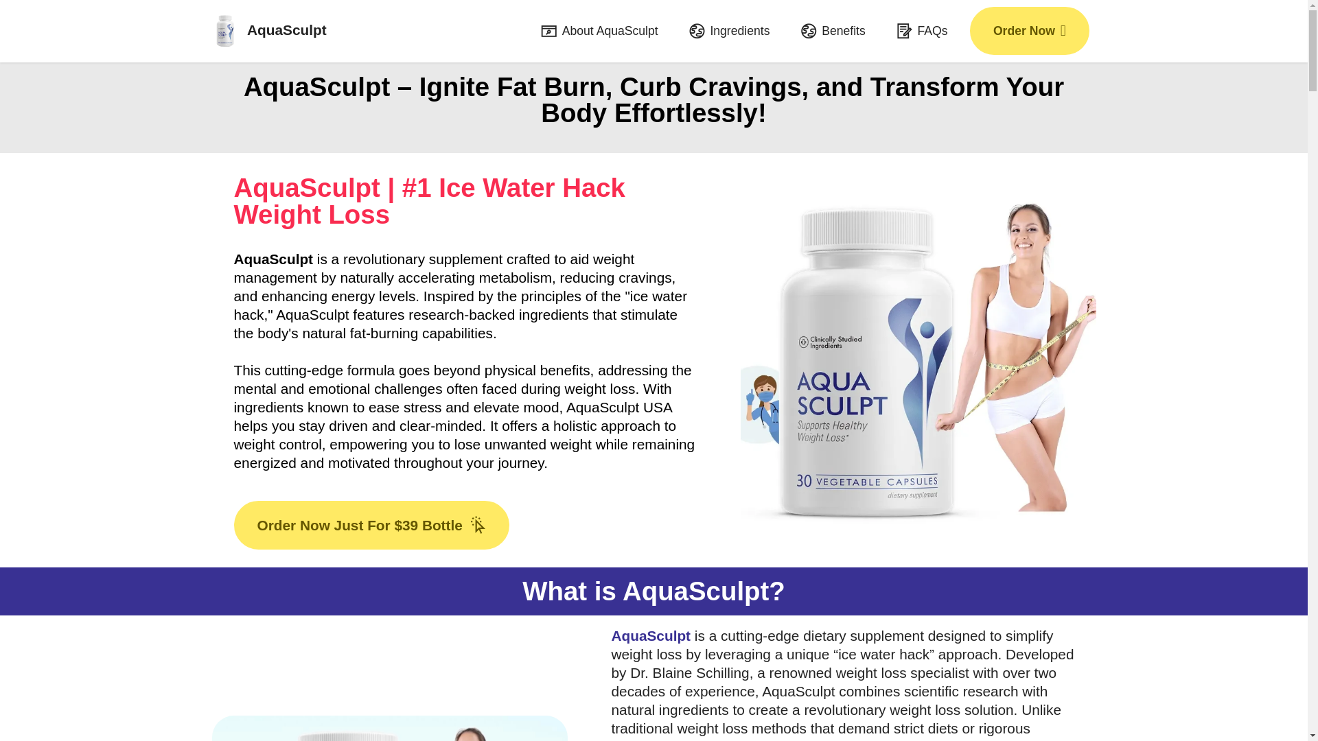 website screenshot of https://en-en-usa--aquasculpt.com/