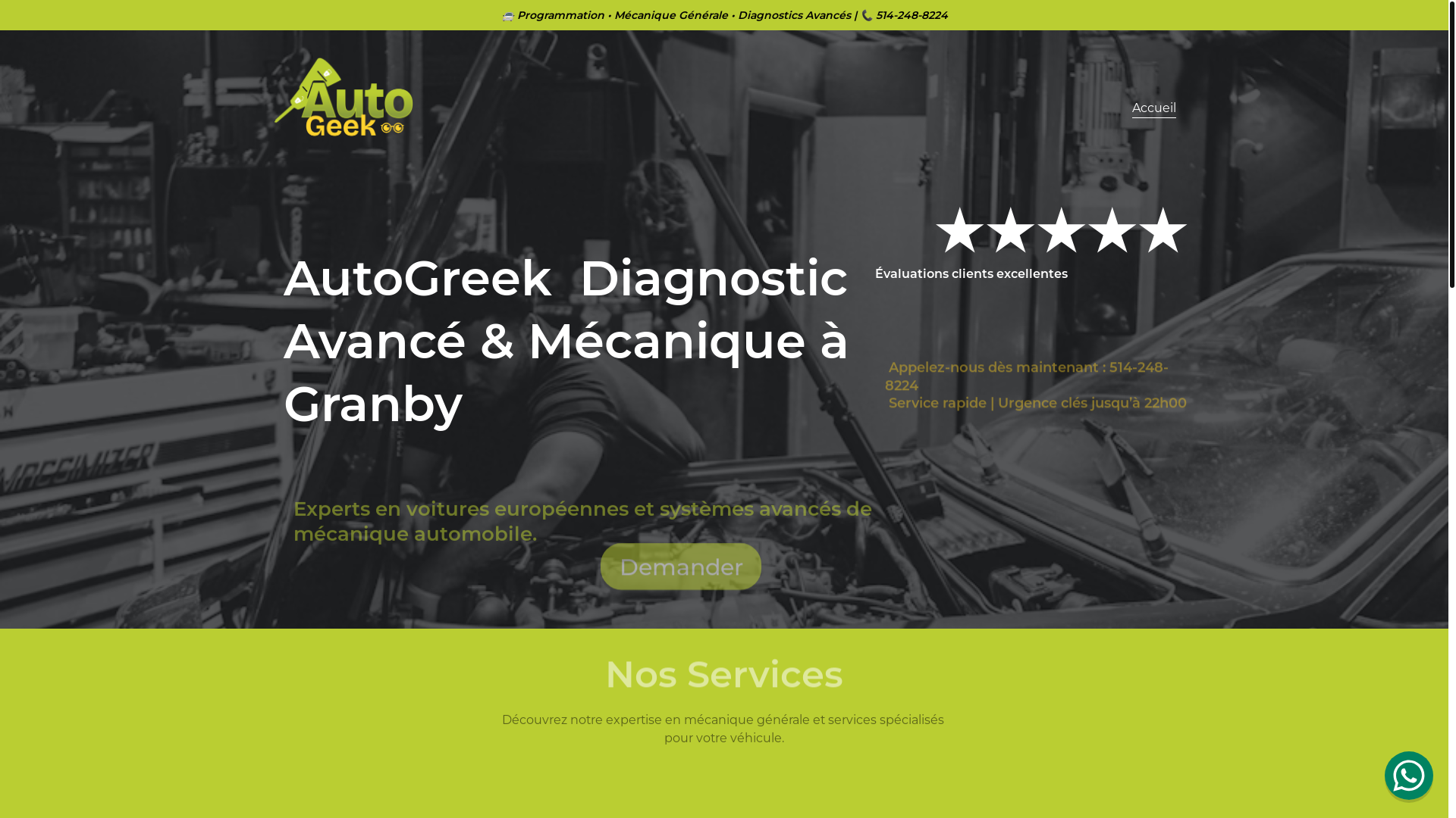 website screenshot of https://autogeekshop.ca/