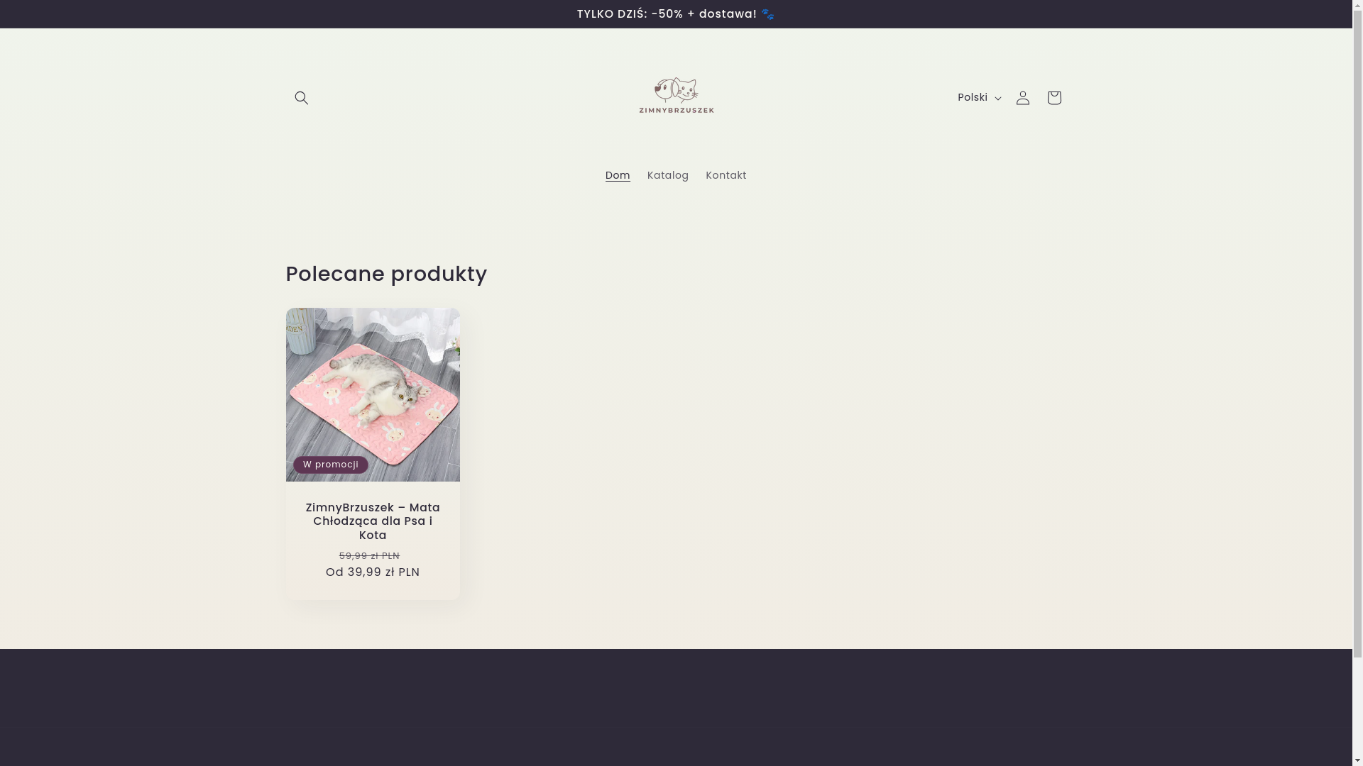 website screenshot of https://zimnybrzuszek.pl/