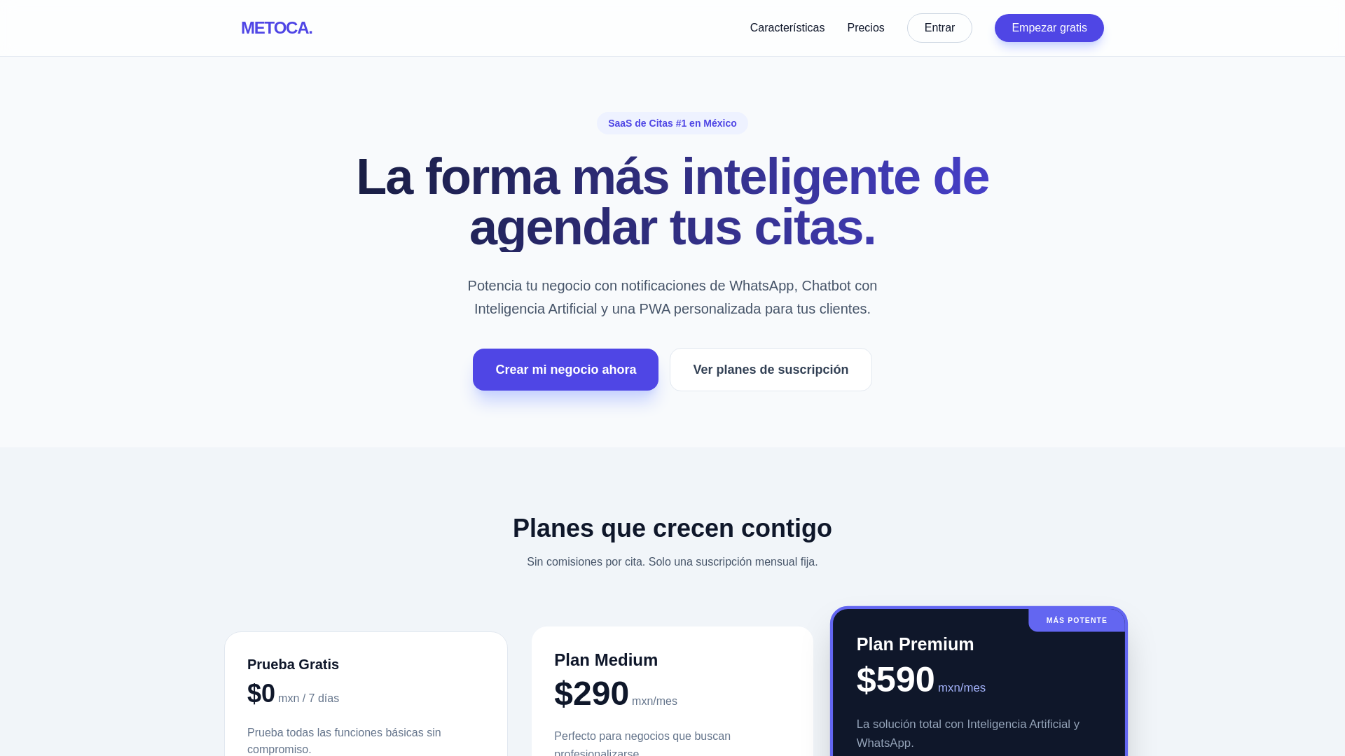 website screenshot of https://metoca.com.mx