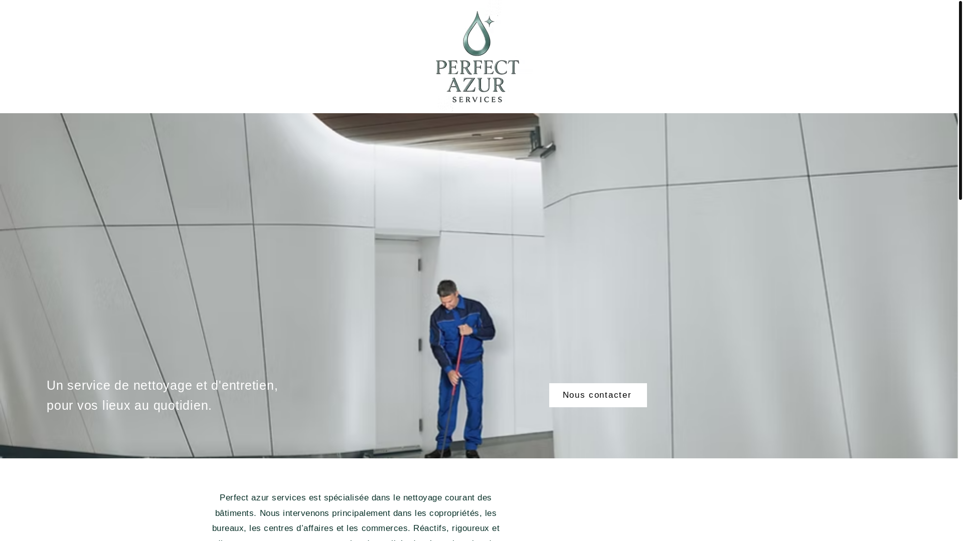 website screenshot of https://perfectazurservices.com/