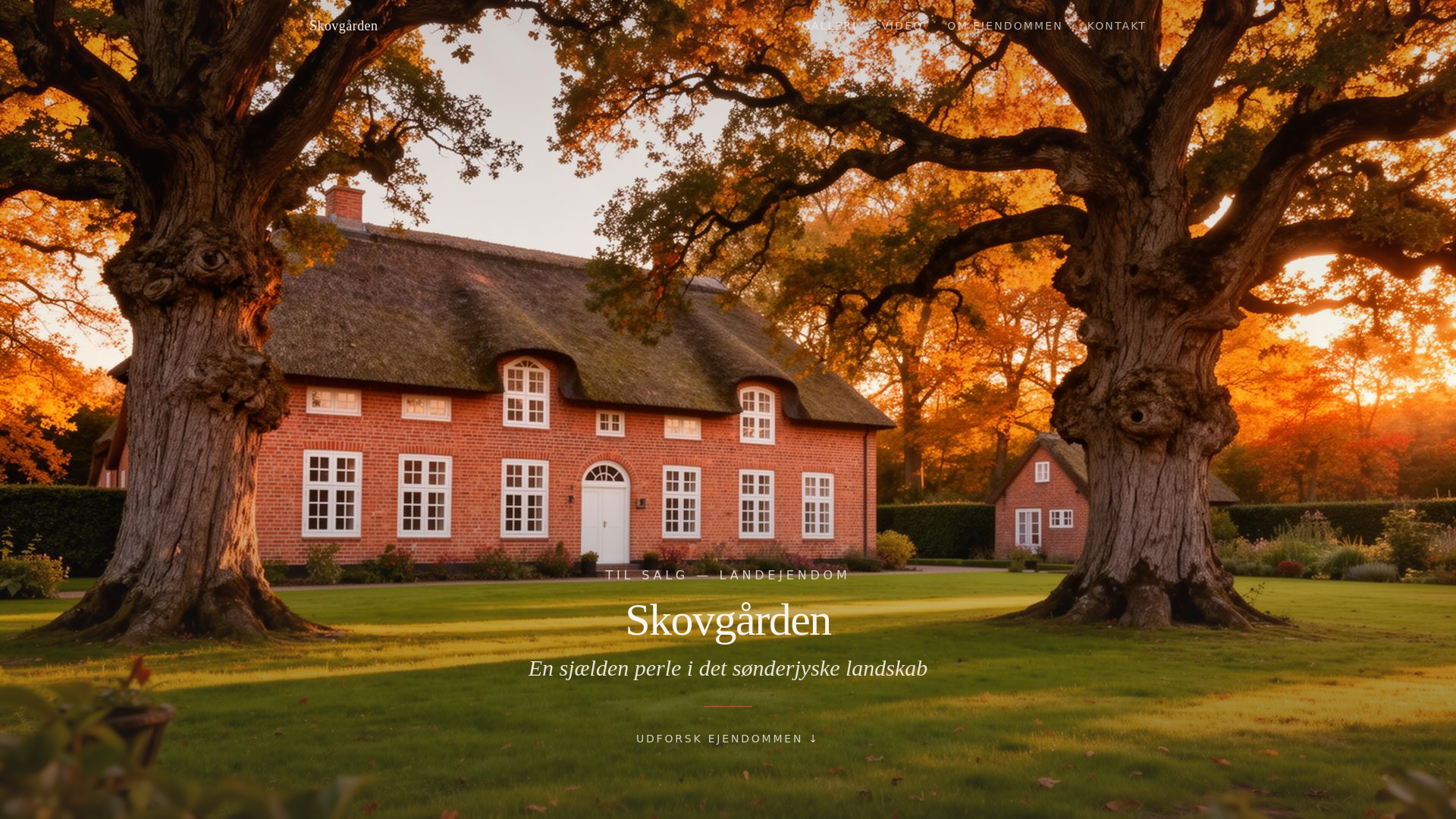 website screenshot of https://trustrupvej21.pages.dev/