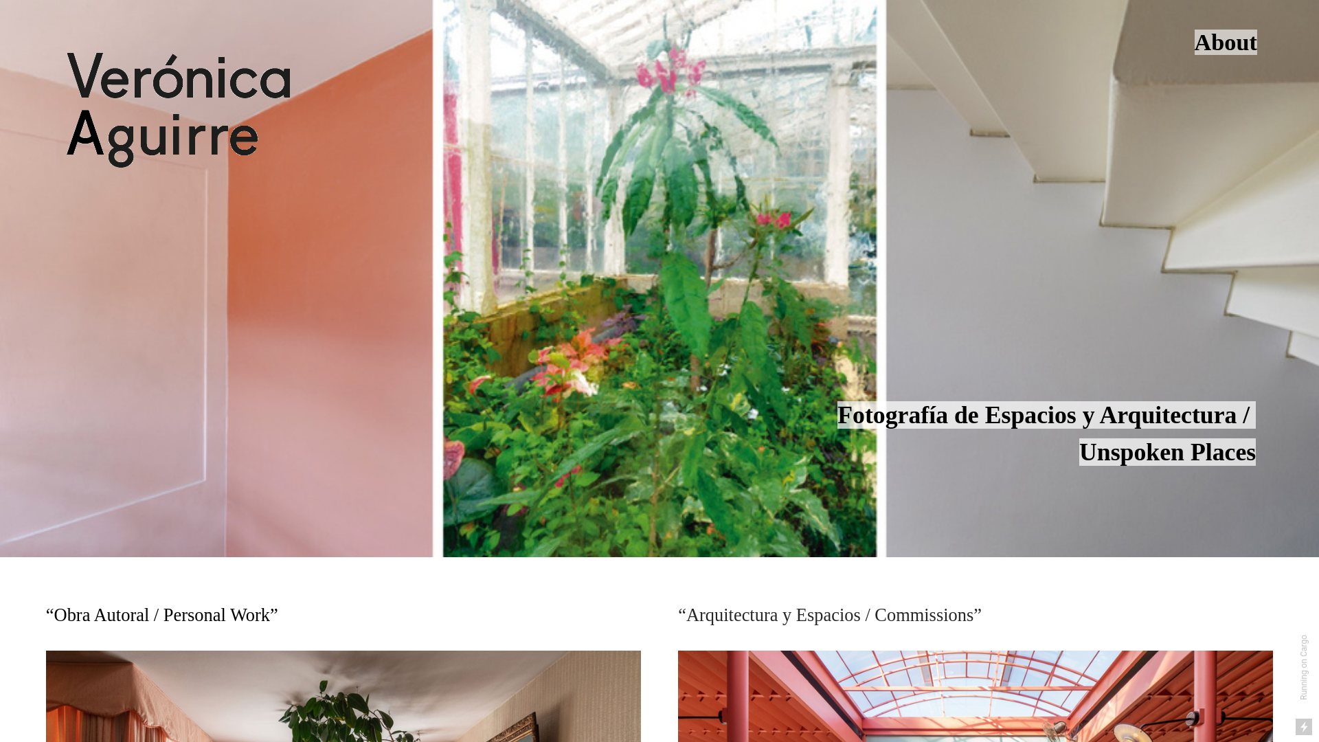 website screenshot of https://veronicaaguirre.cl/