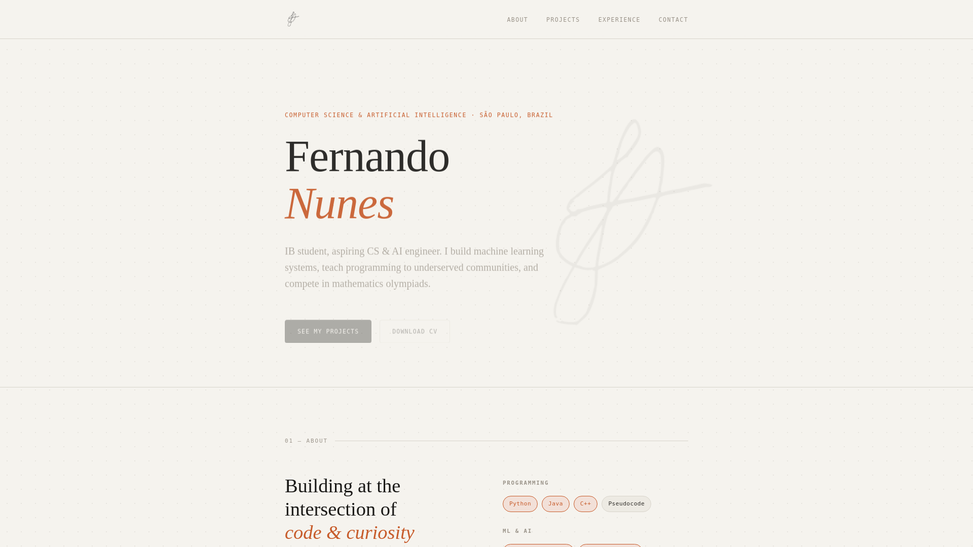 website screenshot of https://nandonws.tech/