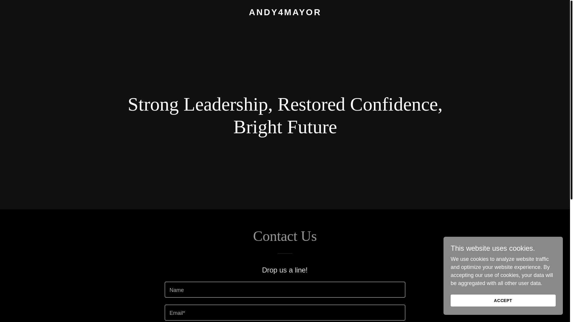 website screenshot of https://andy4mayor.ca/