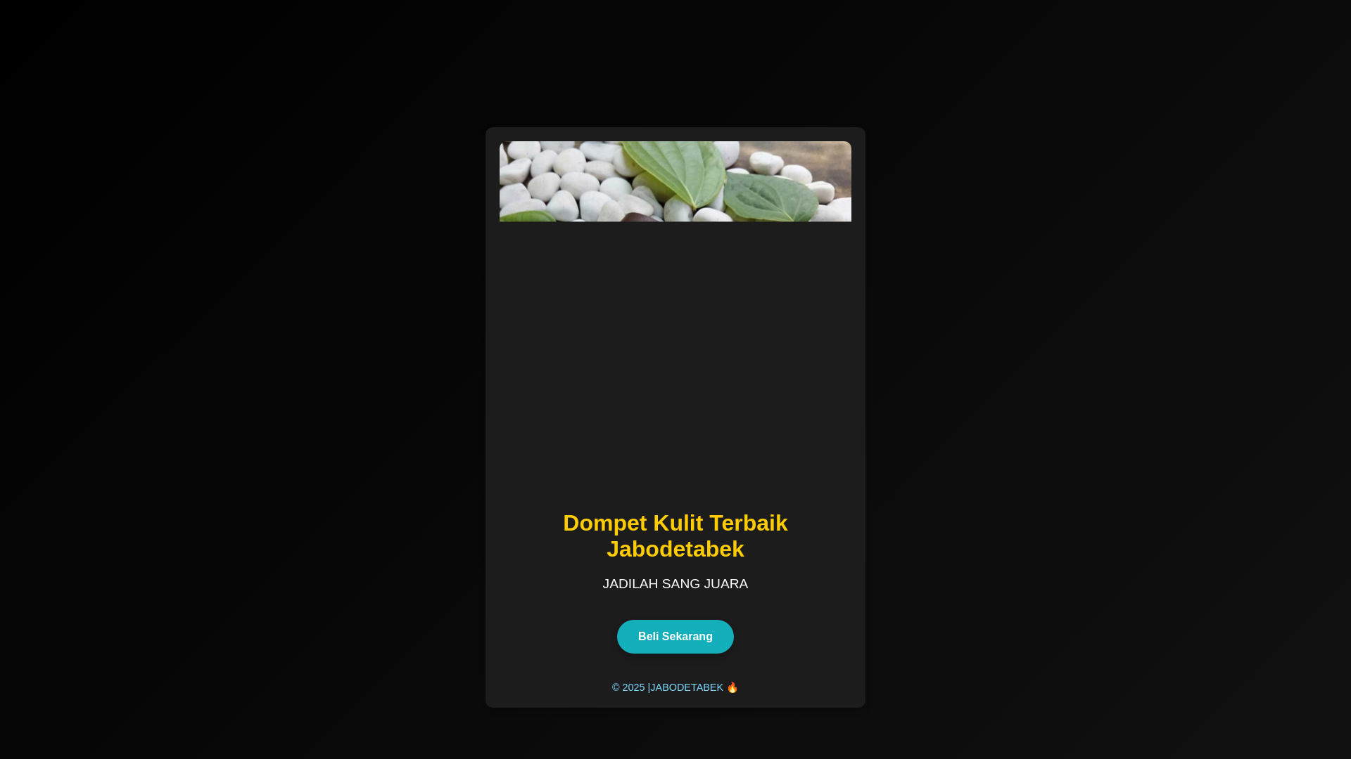 website screenshot of https://cemilmantul.pages.dev/