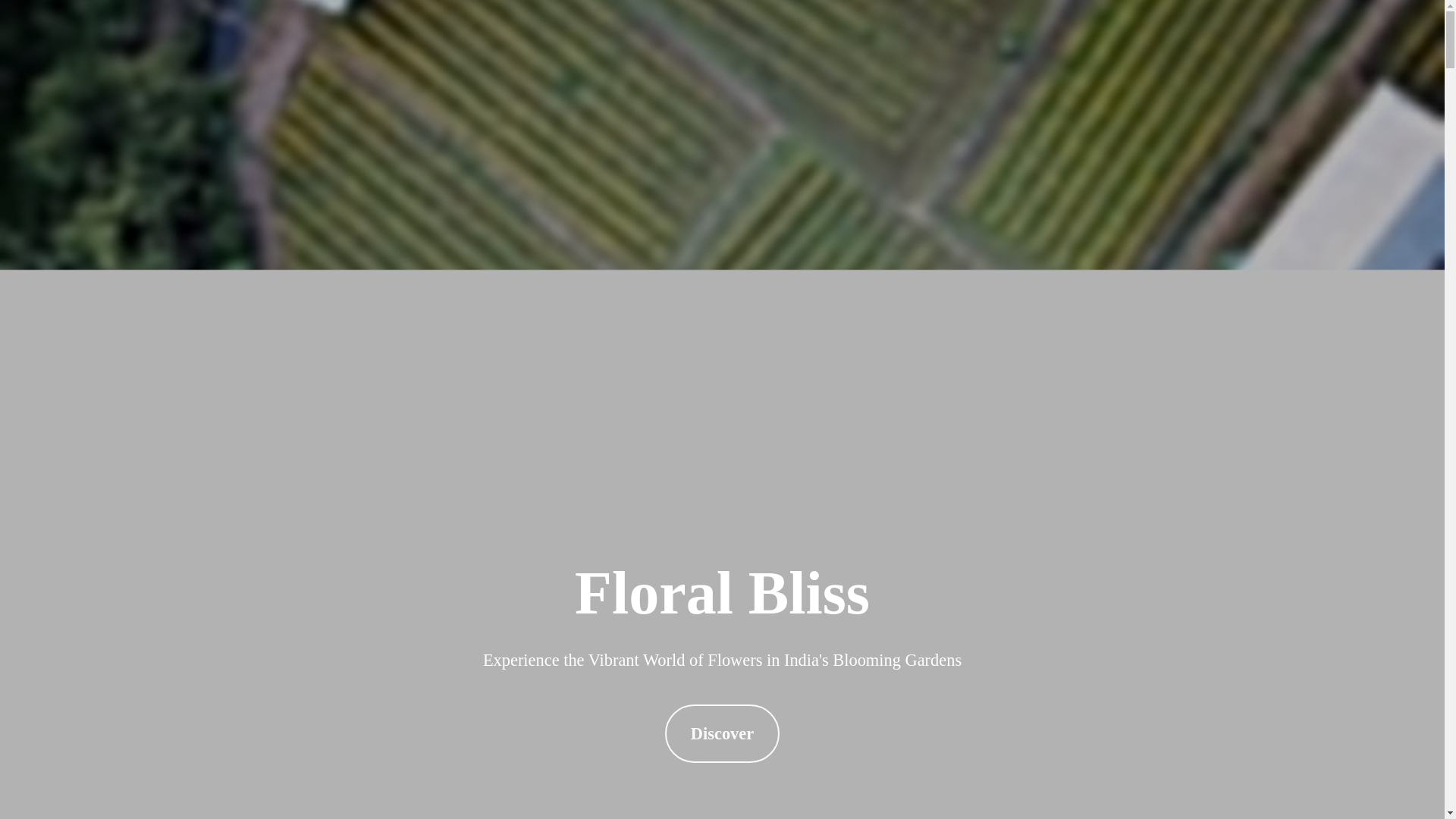 website screenshot of https://ltawapeja.store/