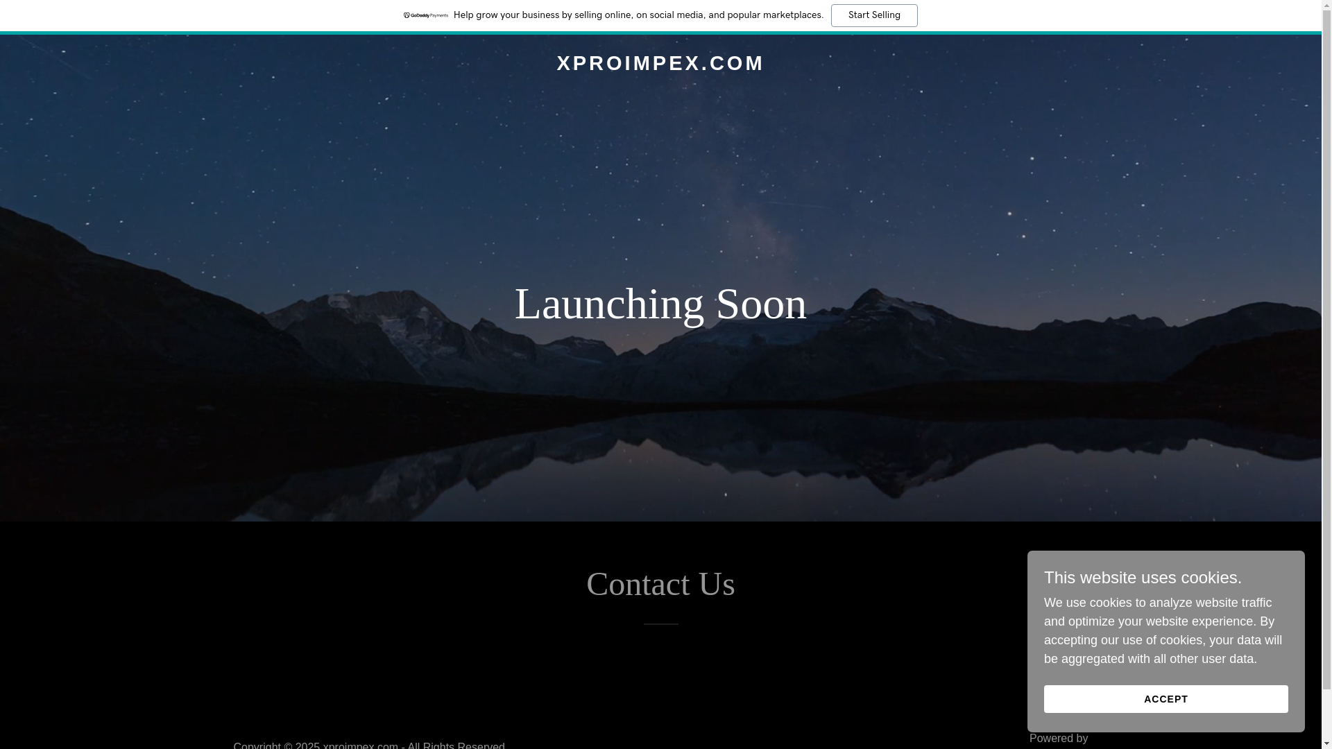 website screenshot of https://xproimpex.com/