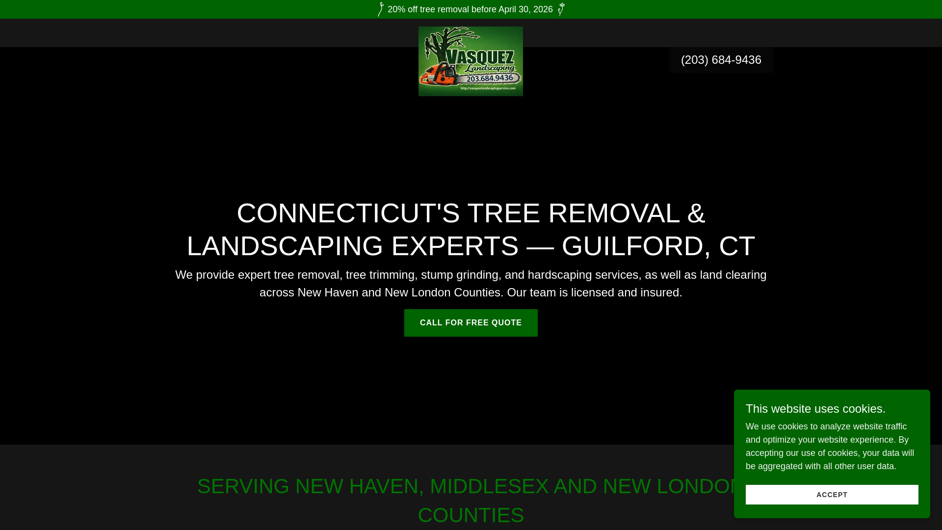website screenshot of https://vasquezlandscapingservice.com/