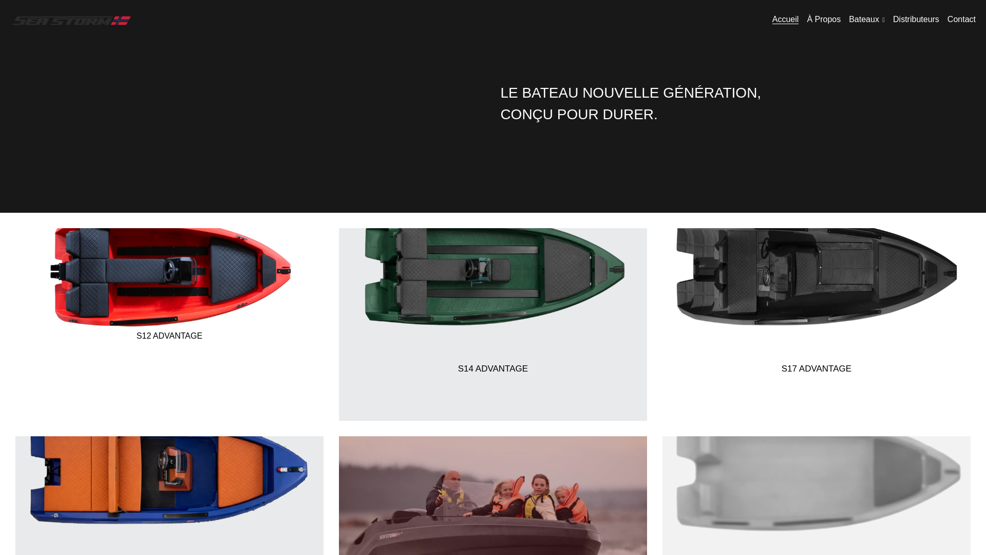 website screenshot of https://seastorm.boats