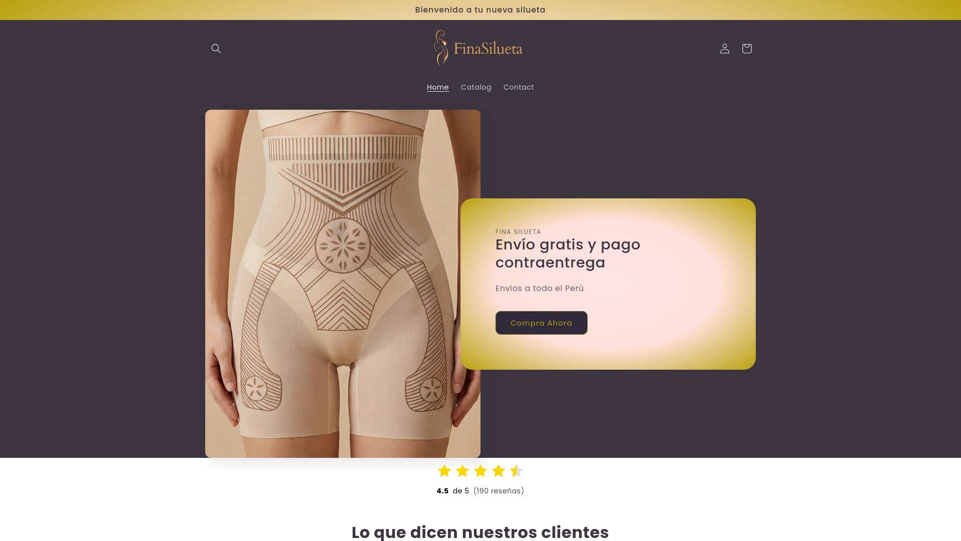website screenshot of https://finasilueta.com