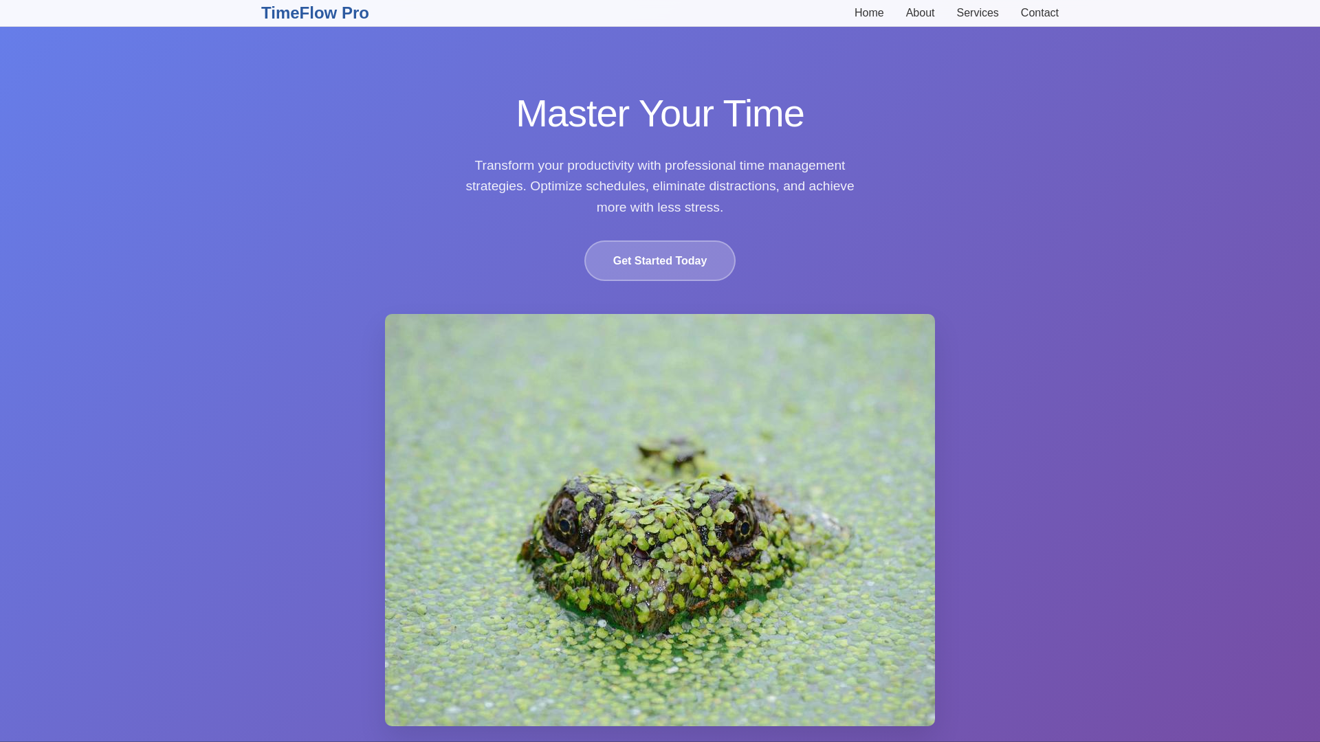 website screenshot of https://professionalschedulemanagement.sbs/