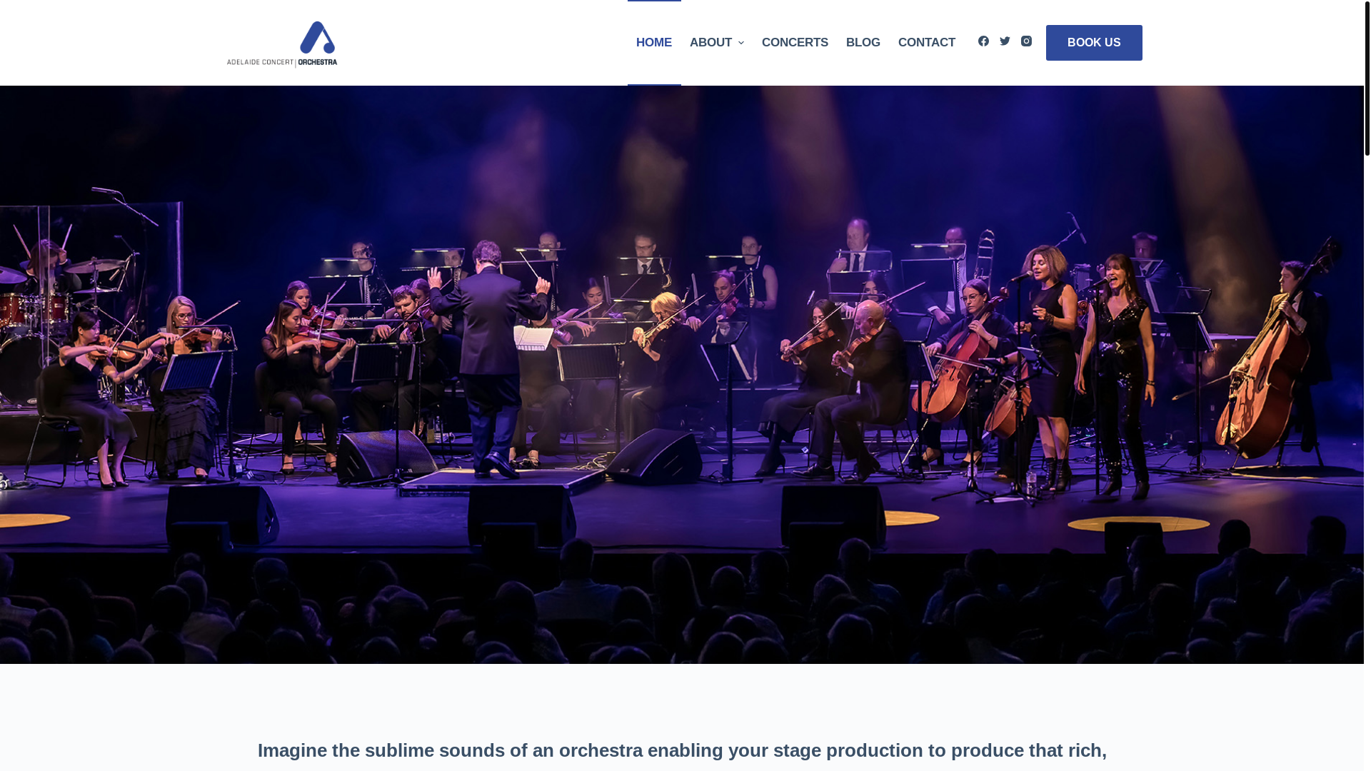 website screenshot of https://adelaideconcertorchestra.online/