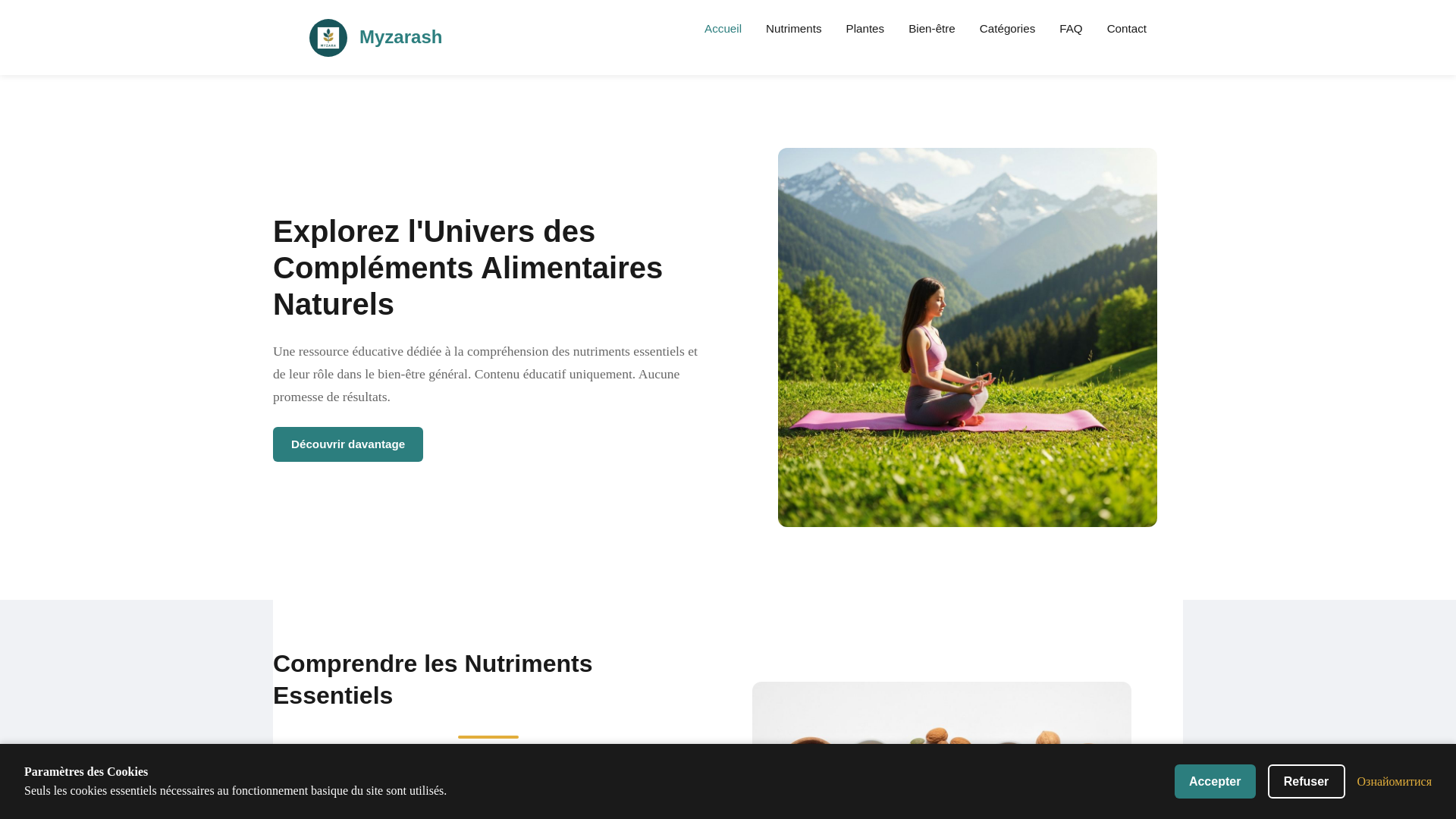 website screenshot of https://myzarash.info/