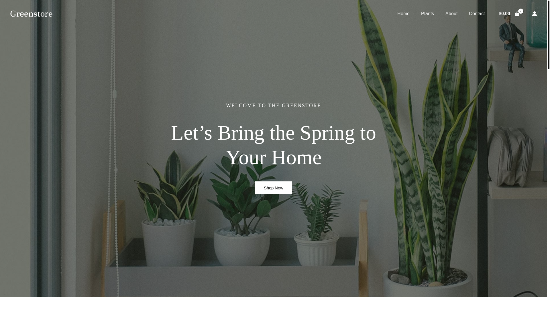 website screenshot of https://paintmemodels.com/