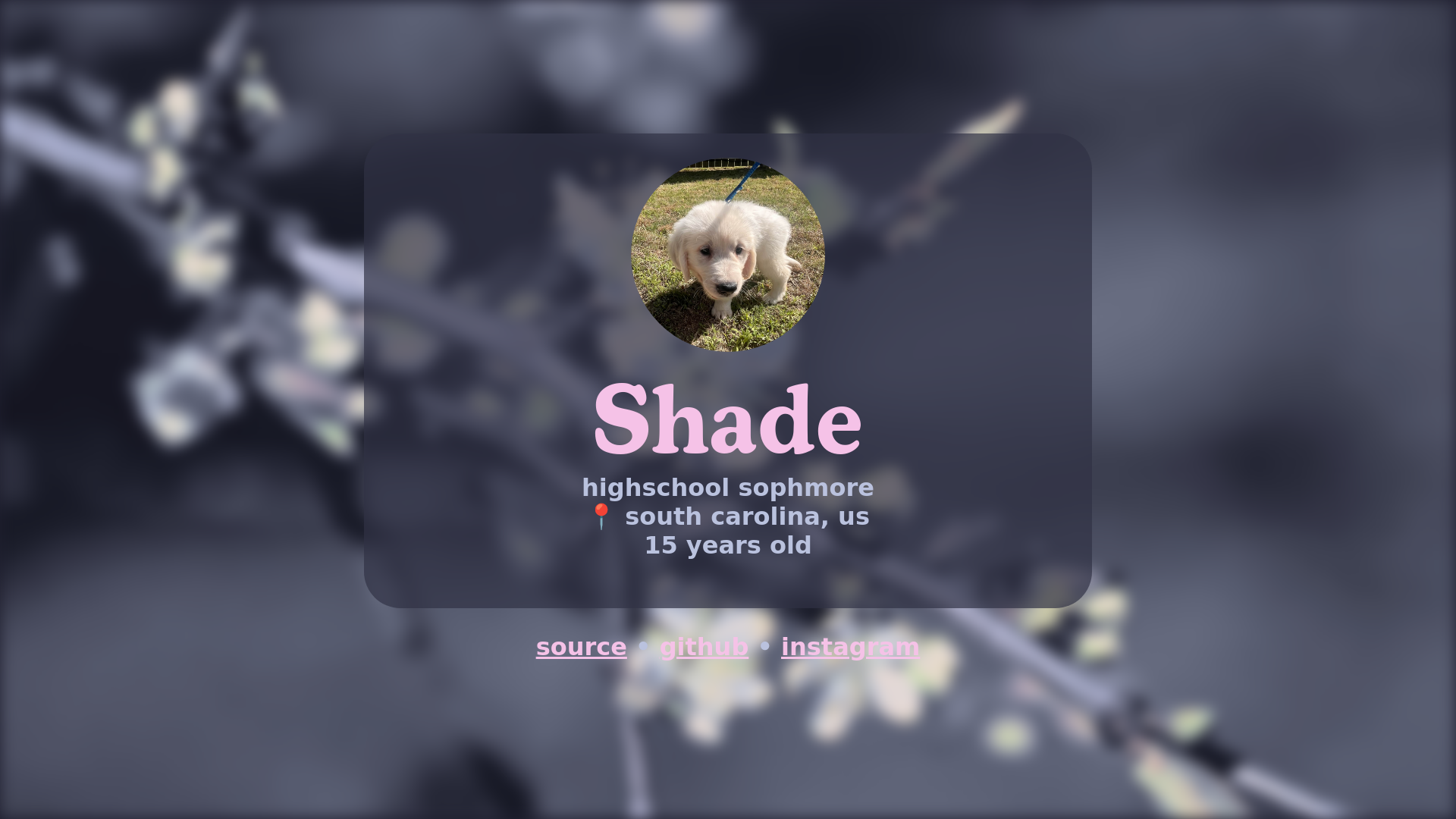website screenshot of https://shade.rip/