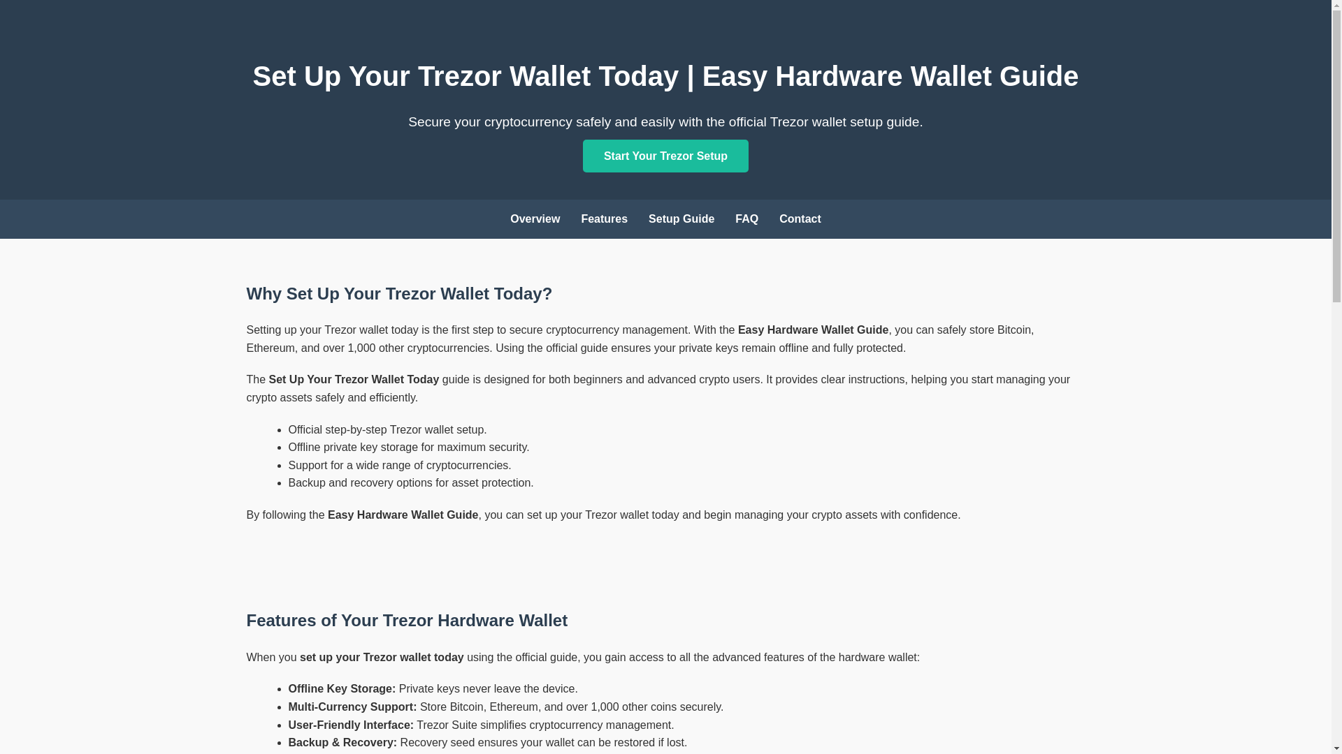 website screenshot of https://started-up-io-trezerio.pages.dev/