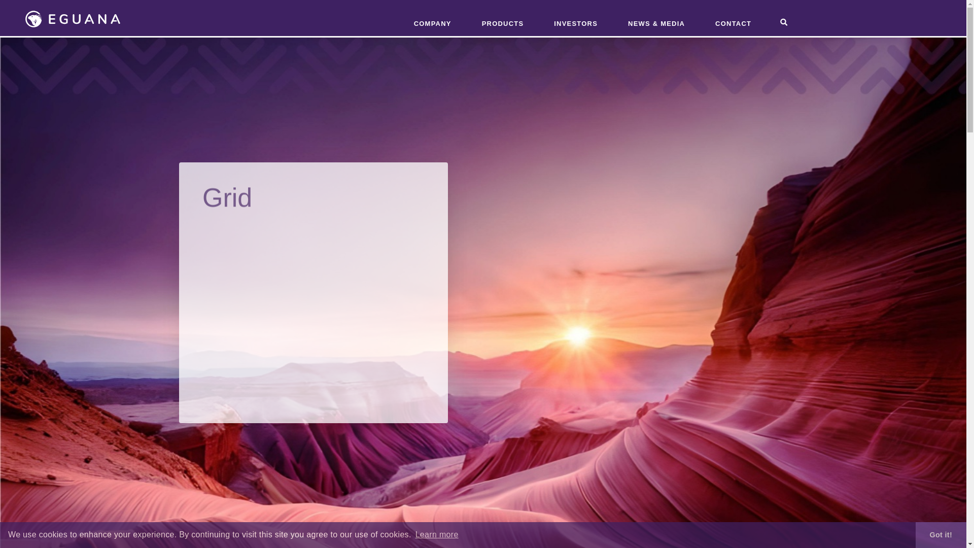 website screenshot of https://eguanatech.services/