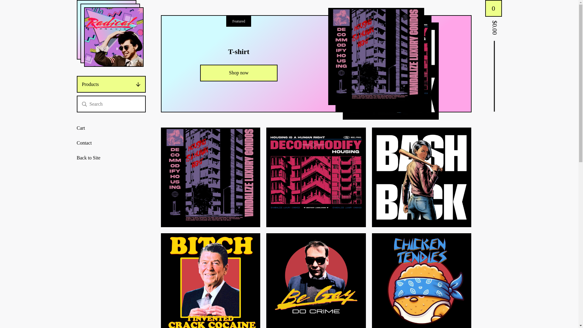 website screenshot of https://radicalpraxis.clothing/