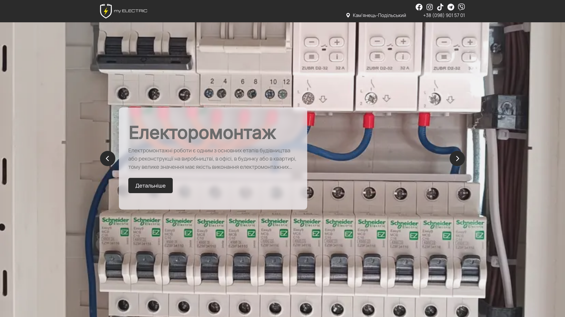 website screenshot of https://my-electric.website/