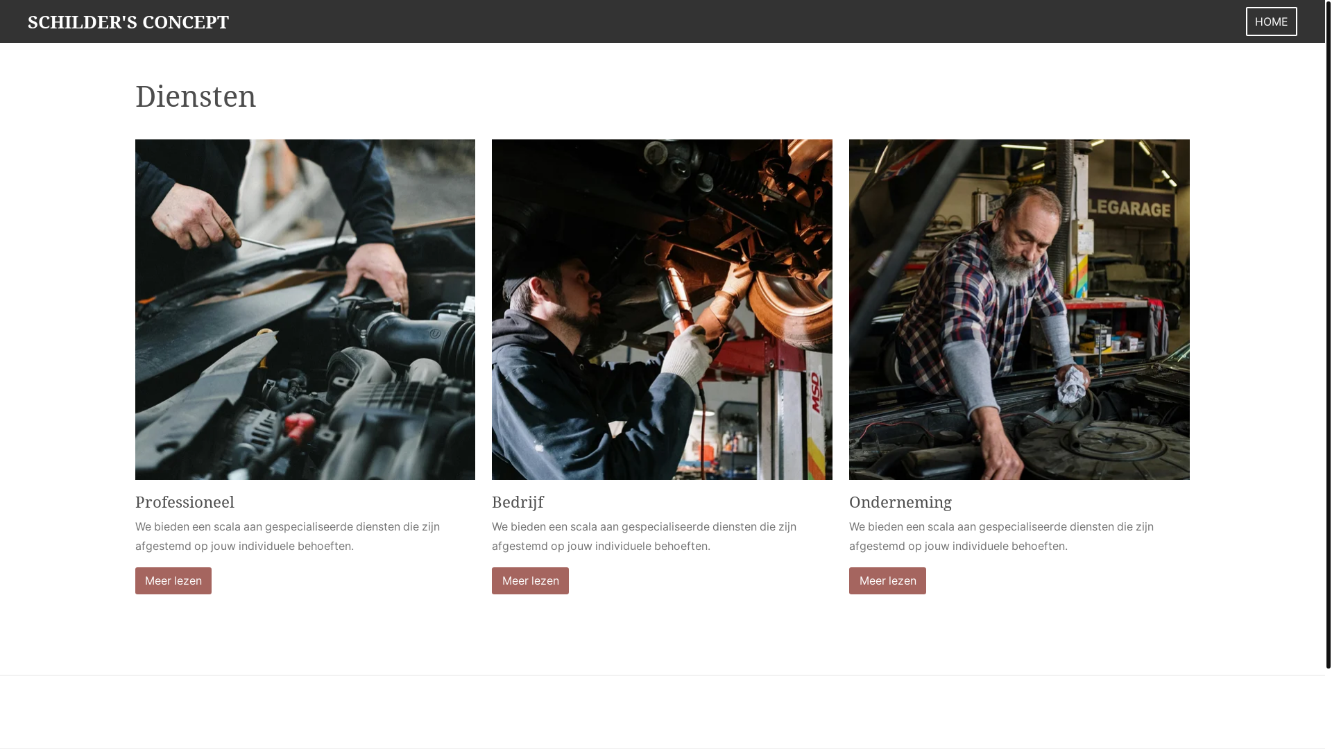 website screenshot of https://schildersconcept.nl/