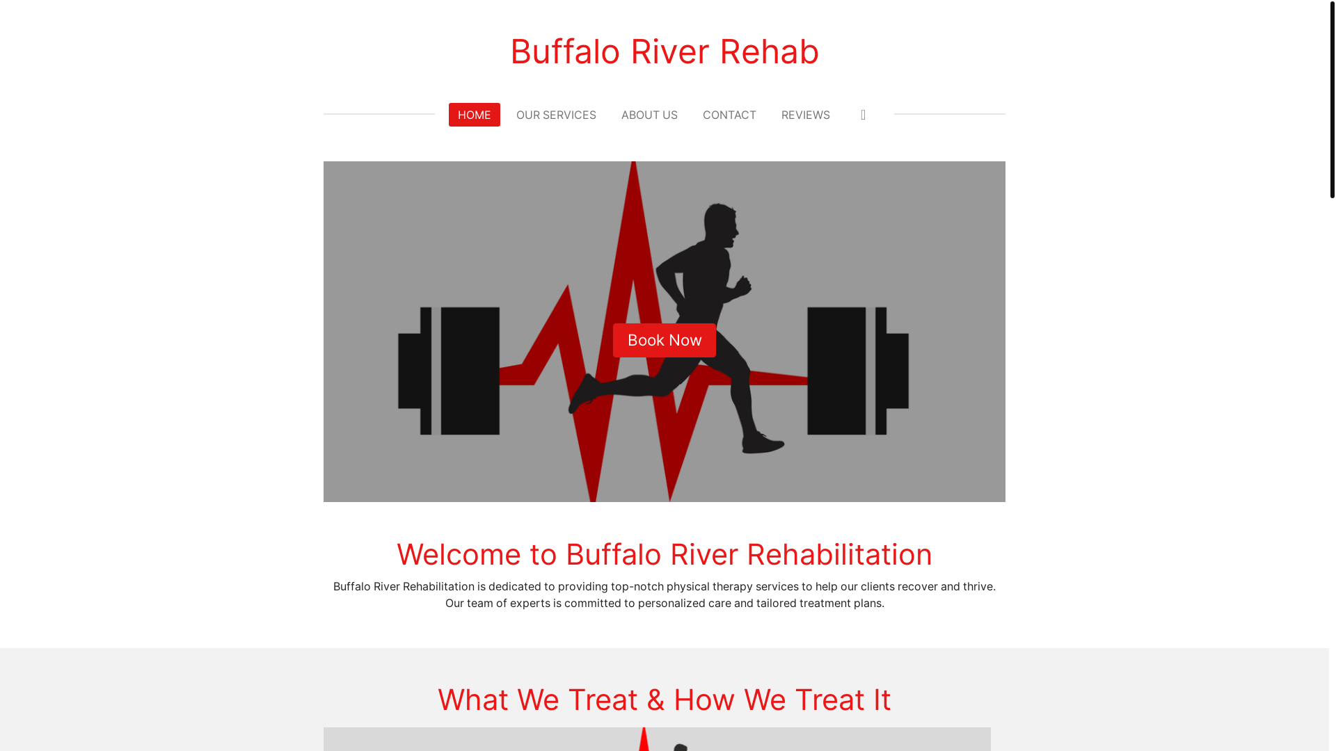 website screenshot of https://buffaloriverrehab.com/