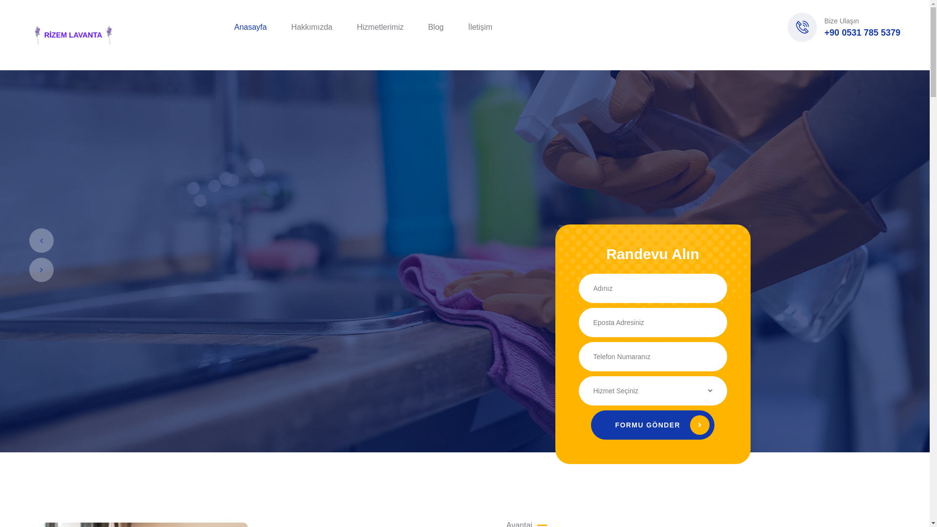 website screenshot of https://rizemlavanta.com/